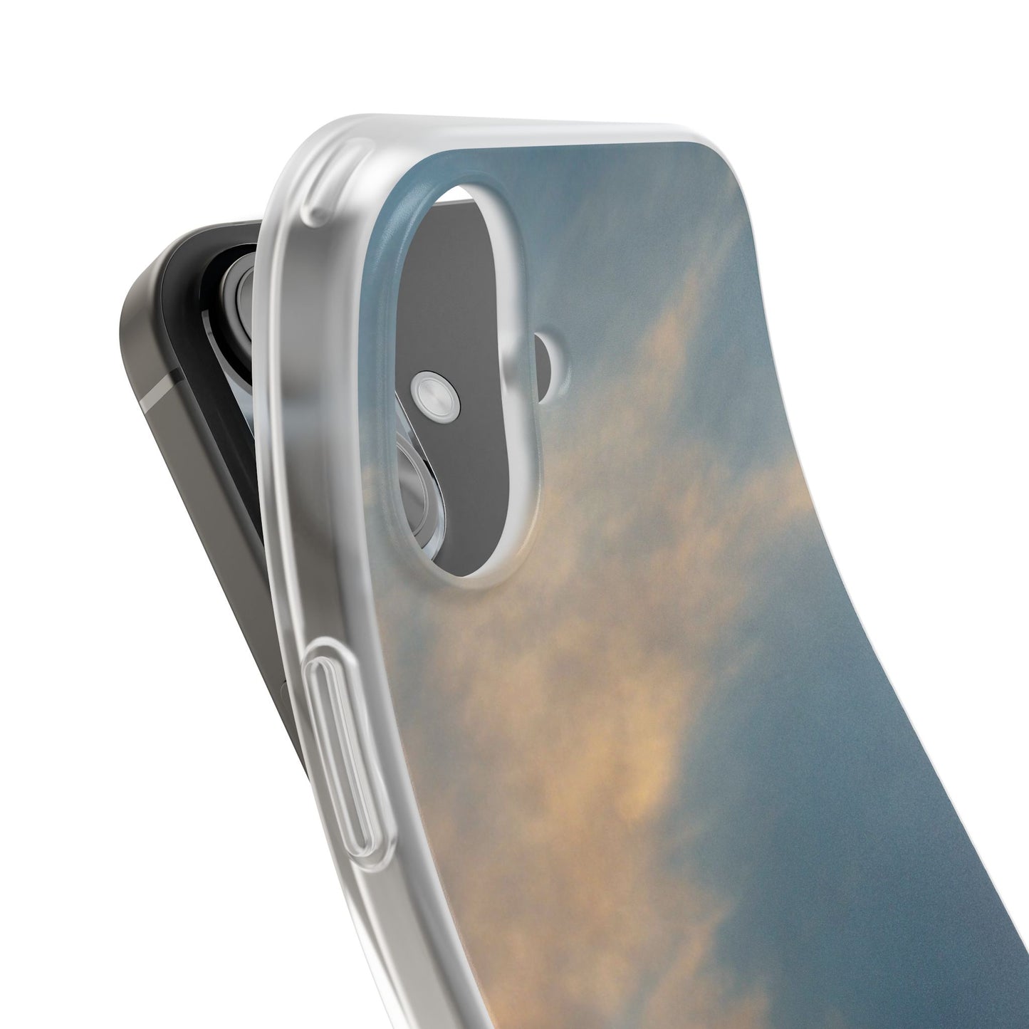 Sun Seeks | iPhone and Samsung Phone Case