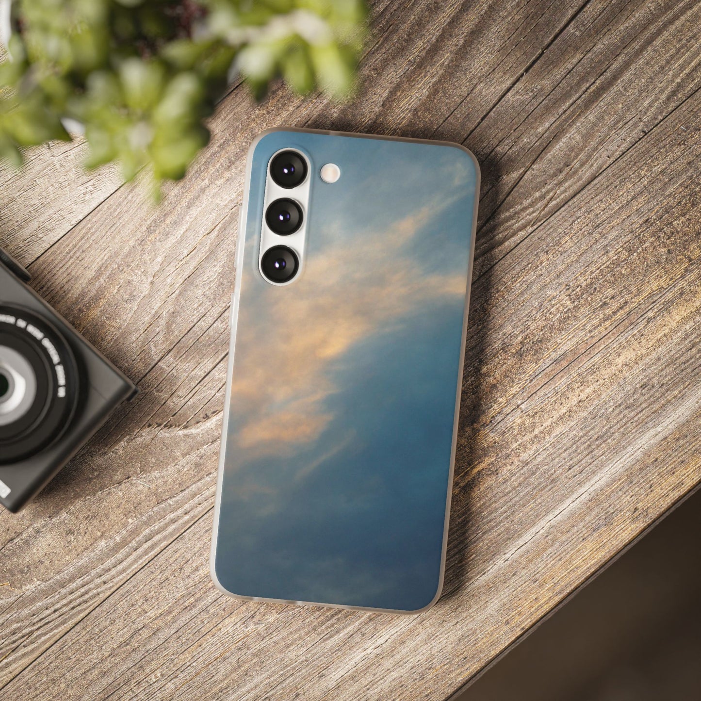 Sun Seeks | iPhone and Samsung Phone Case