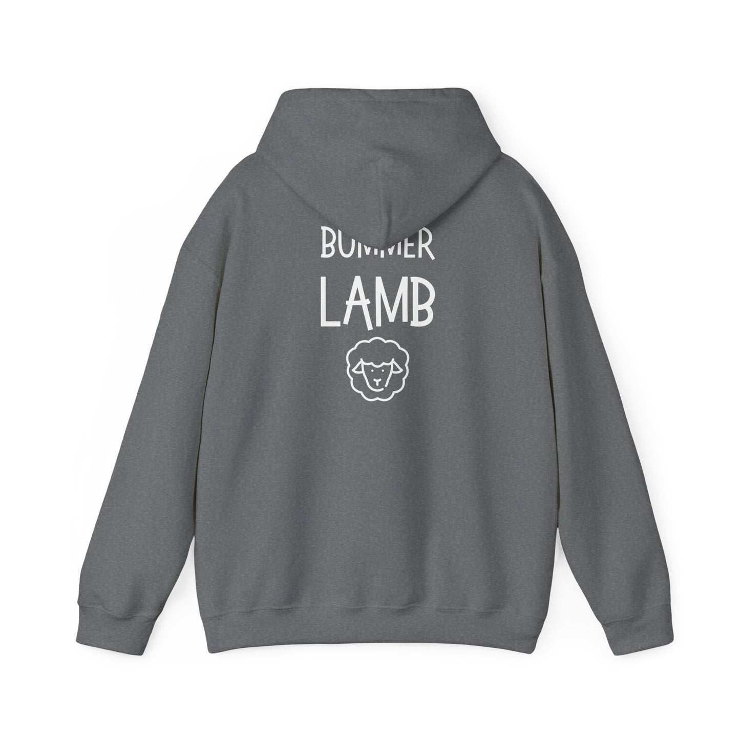 Bummer Lamb, Hoodie