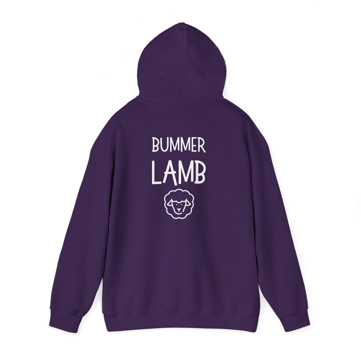 Bummer Lamb, Hoodie