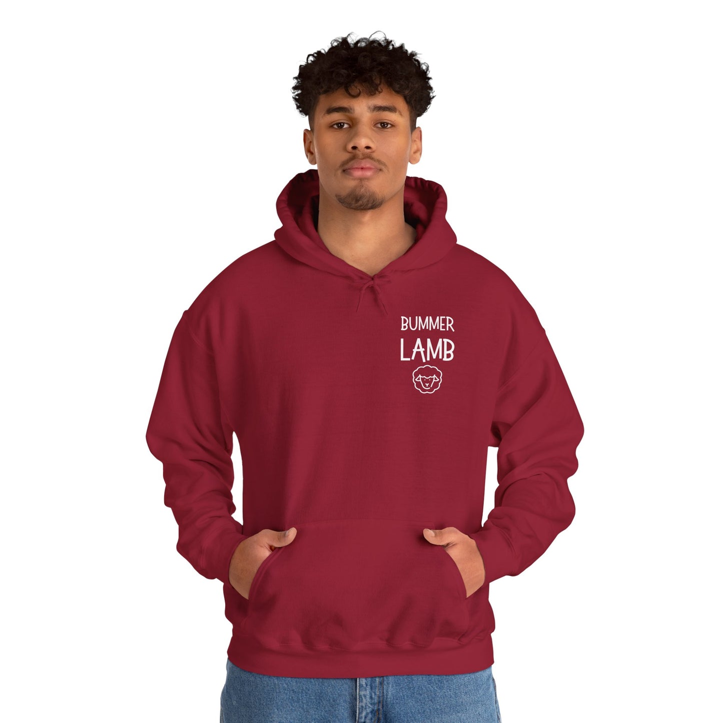 Bummer Lamb, Hoodie