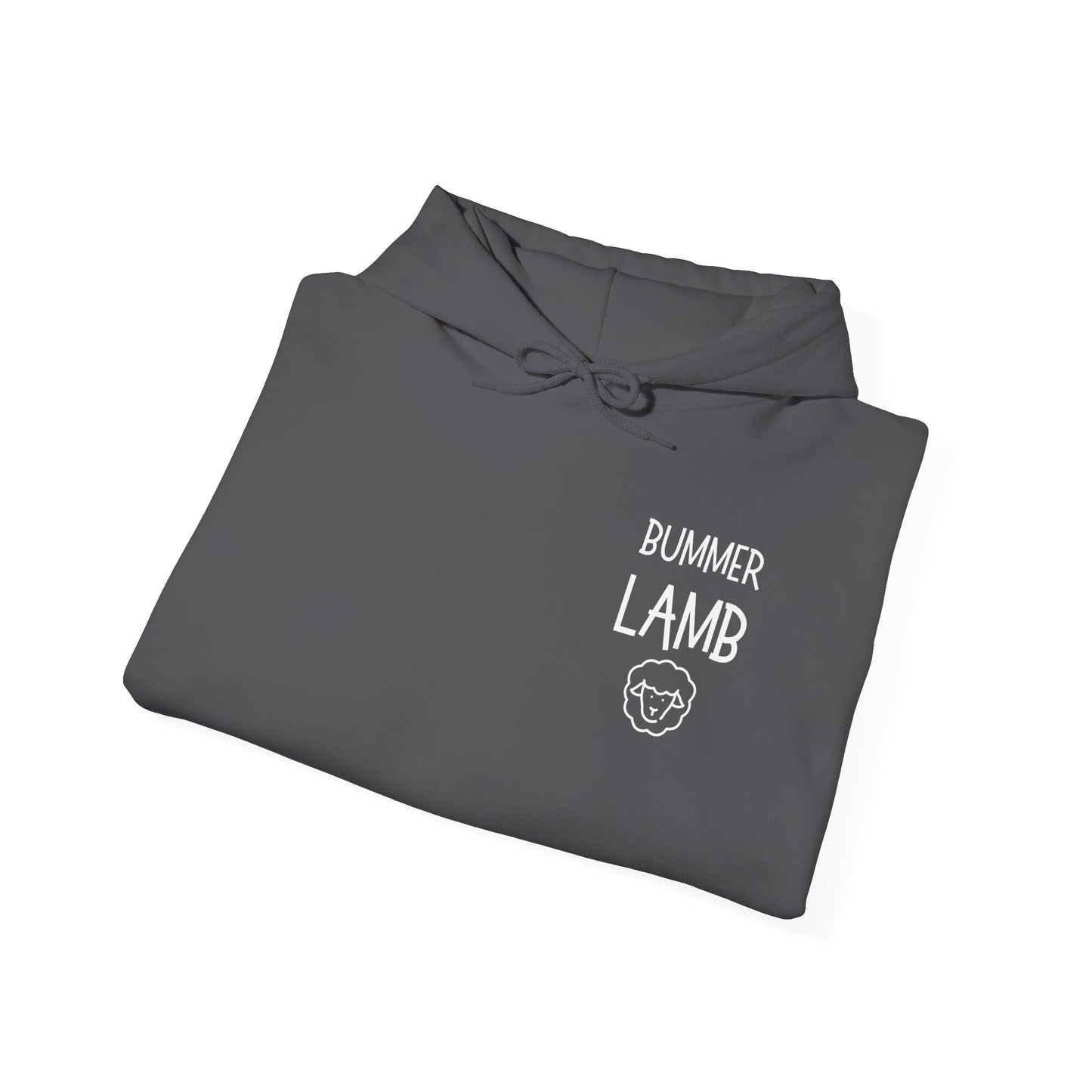 Bummer Lamb, Hoodie
