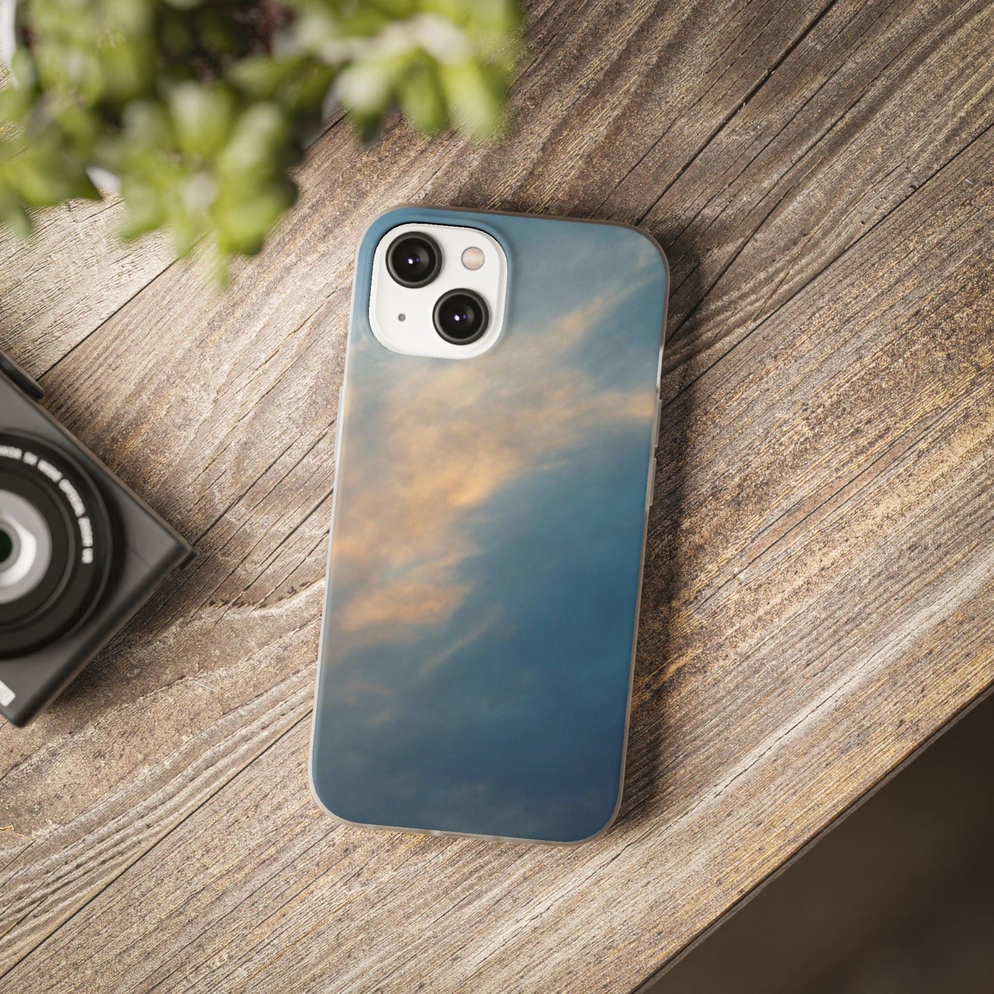Sun Seeks | iPhone and Samsung Phone Case