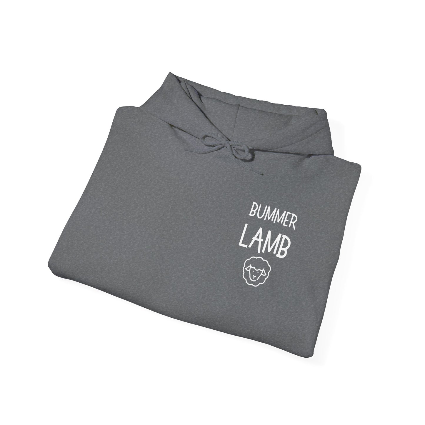 Bummer Lamb, Hoodie