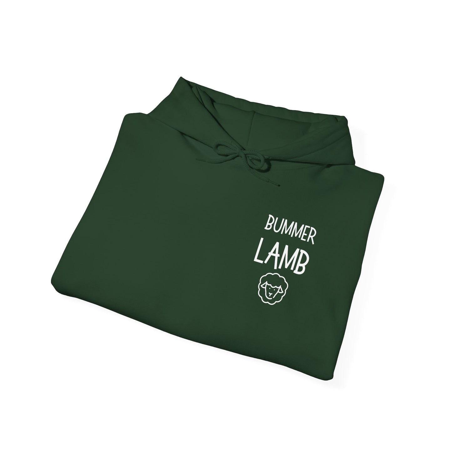 Bummer Lamb, Hoodie