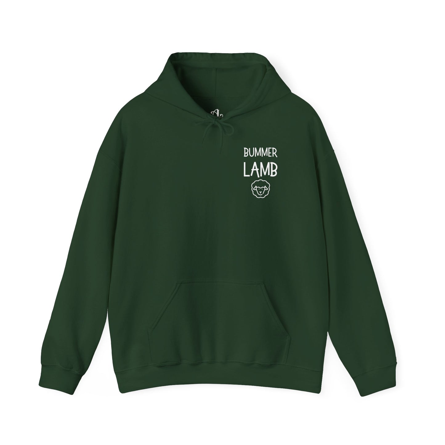 Bummer Lamb, Hoodie
