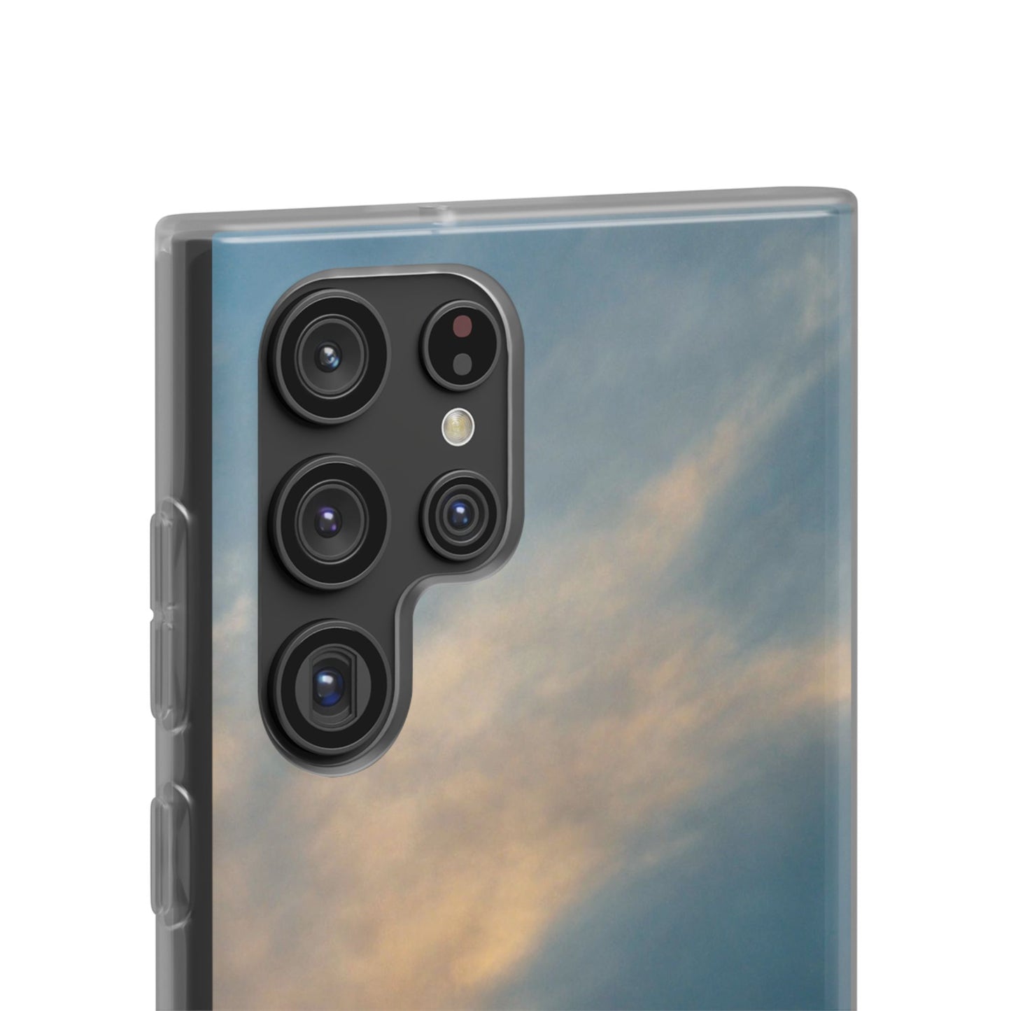 Sun Seeks | iPhone and Samsung Phone Case