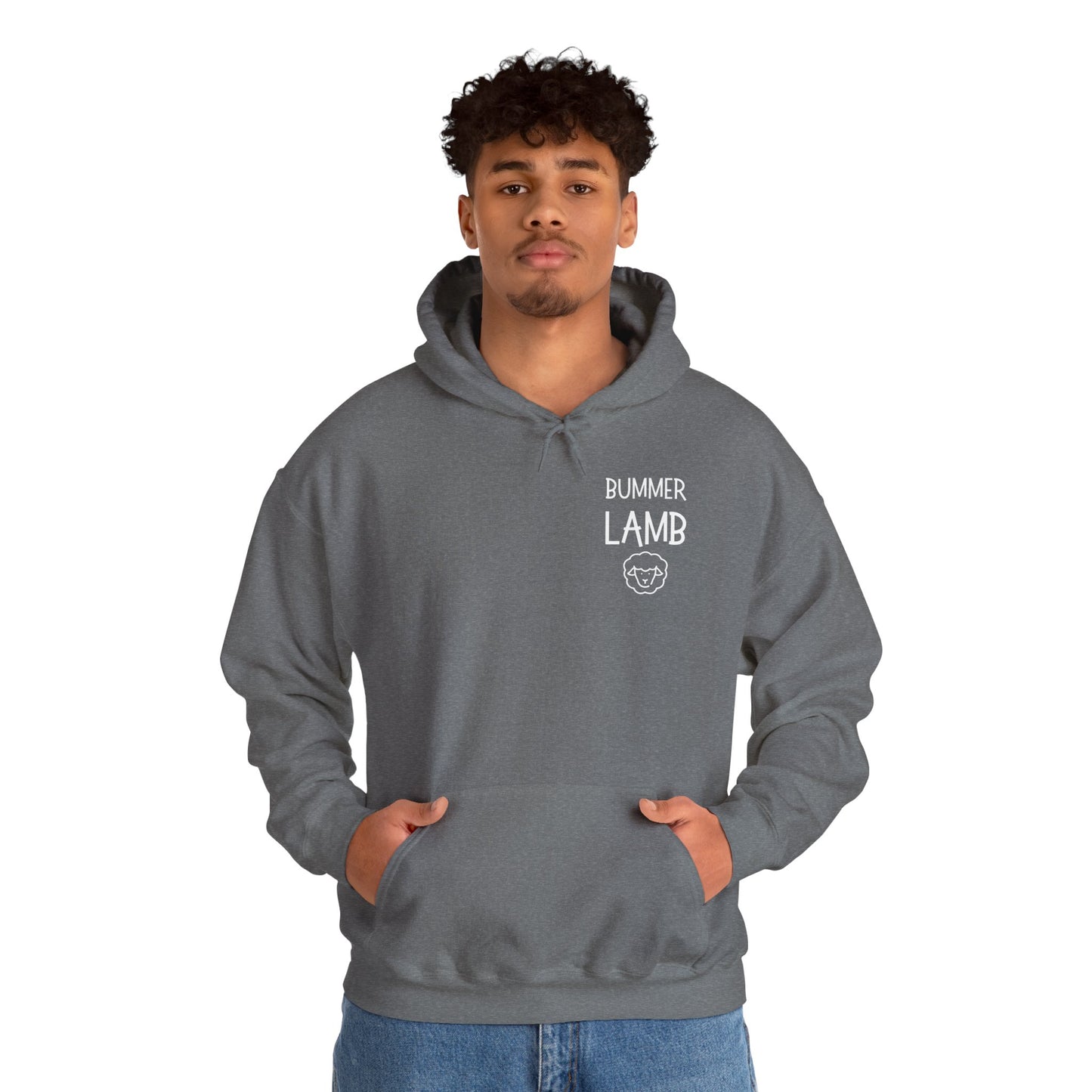 Bummer Lamb, Hoodie