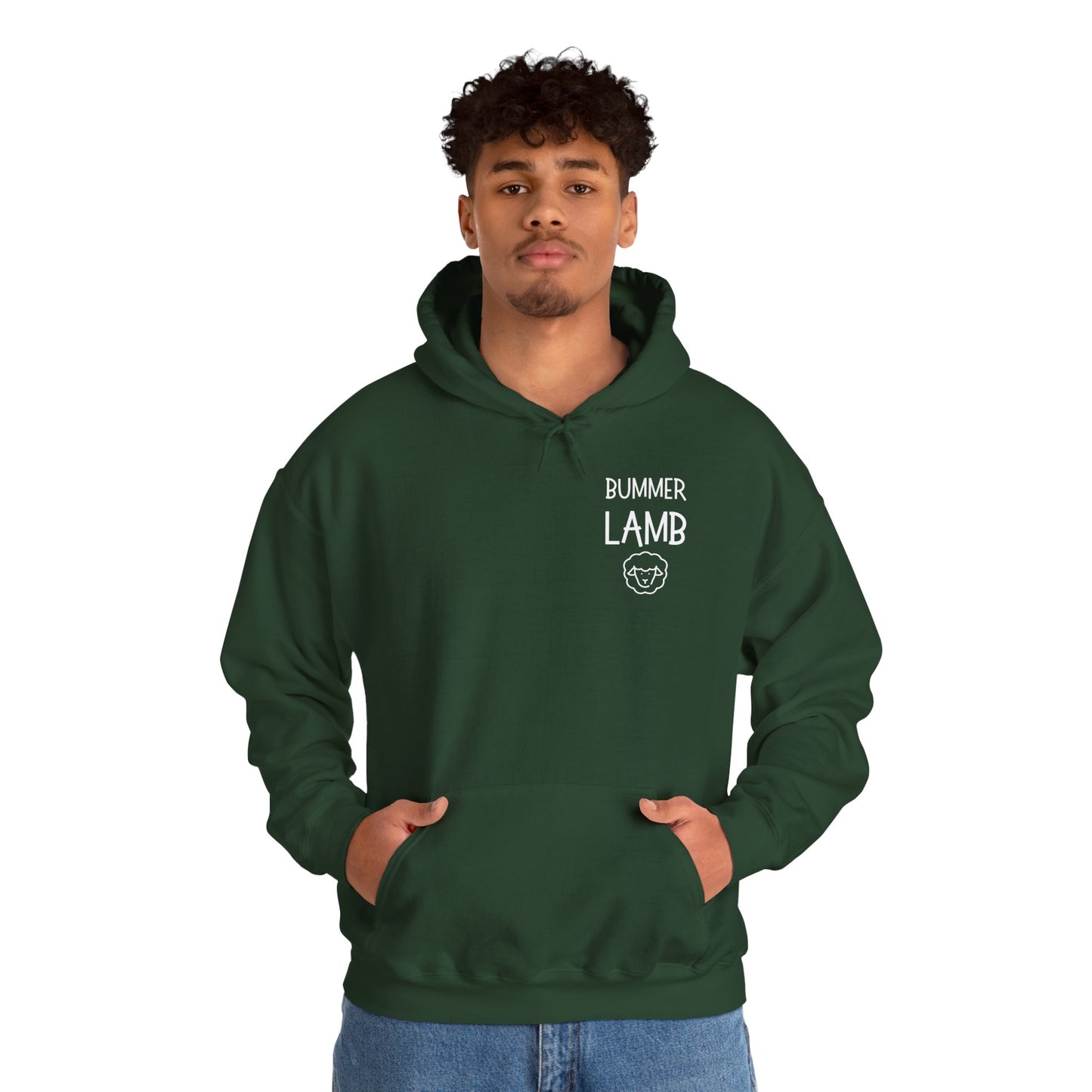 Bummer Lamb, Hoodie