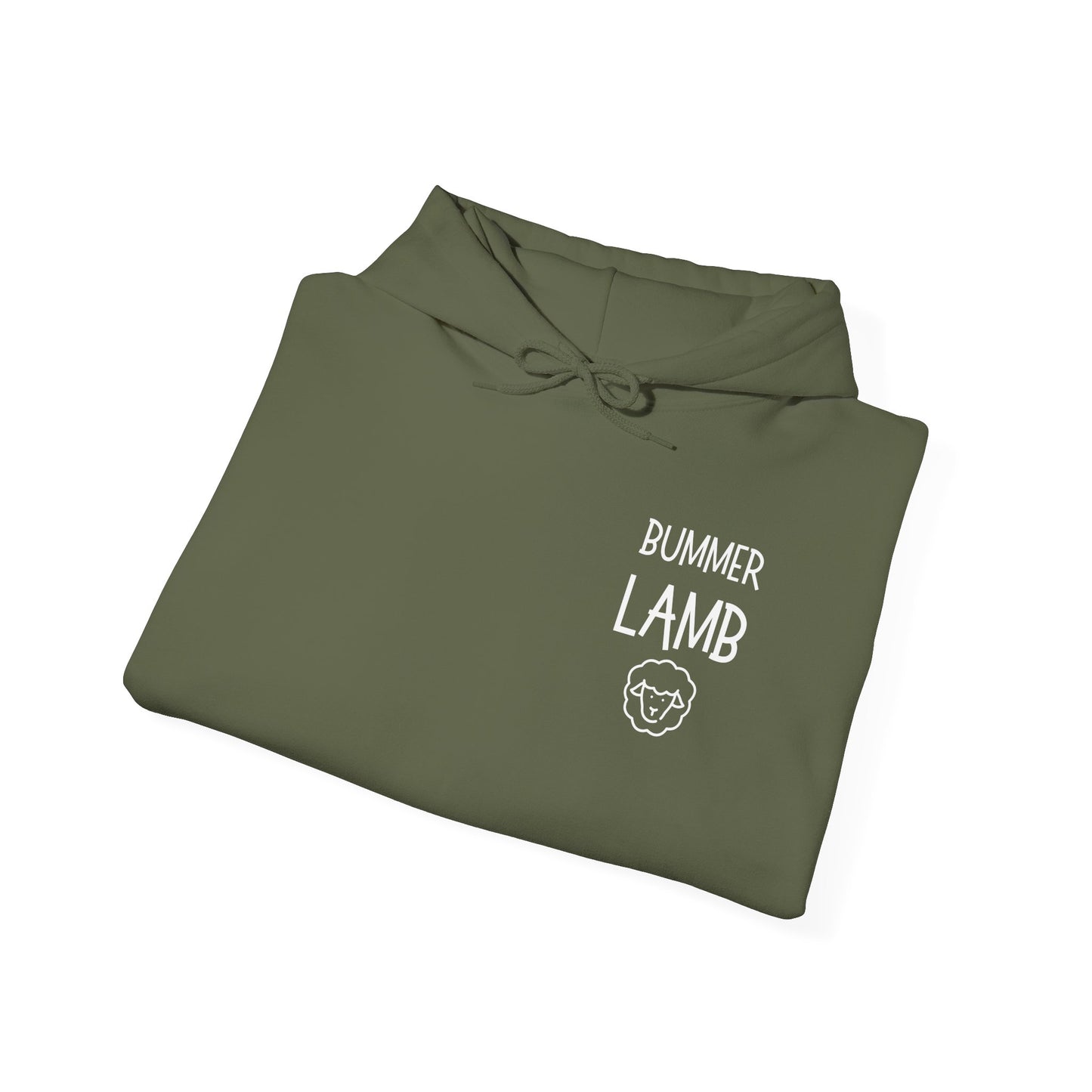 Bummer Lamb, Hoodie