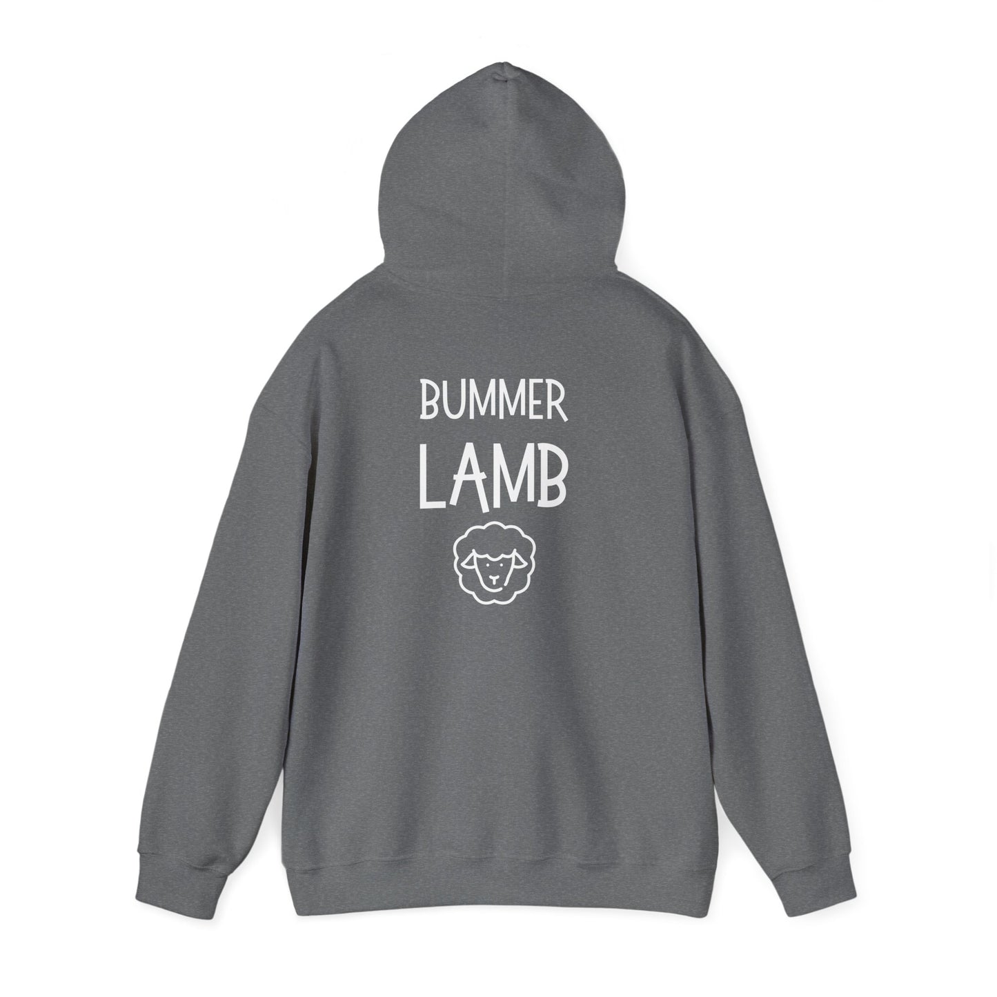 Bummer Lamb, Hoodie