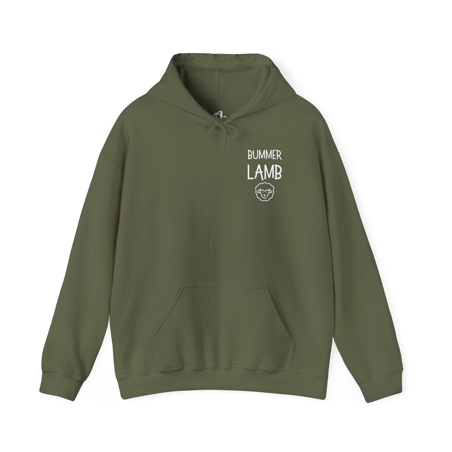 Bummer Lamb, Hoodie