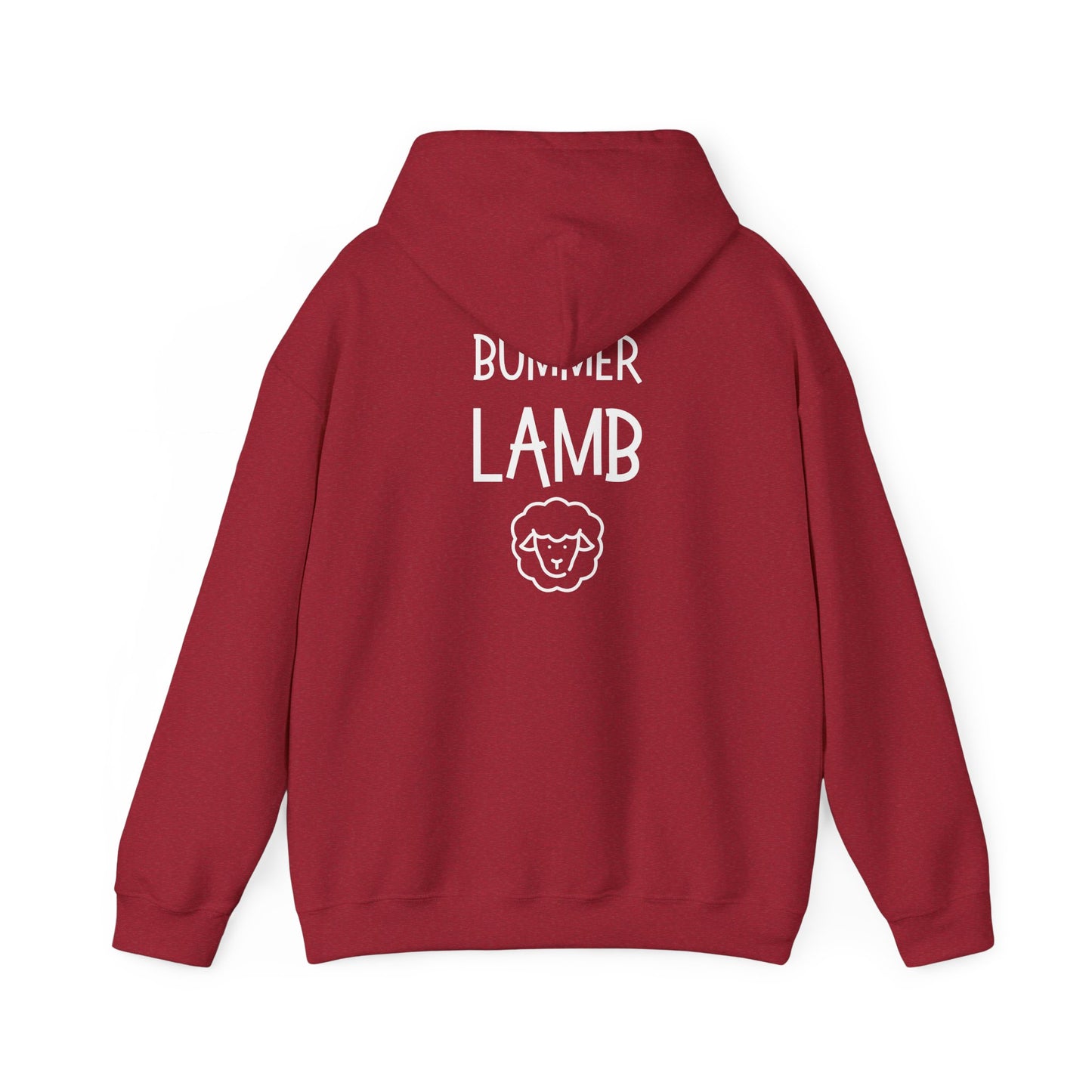 Bummer Lamb, Hoodie