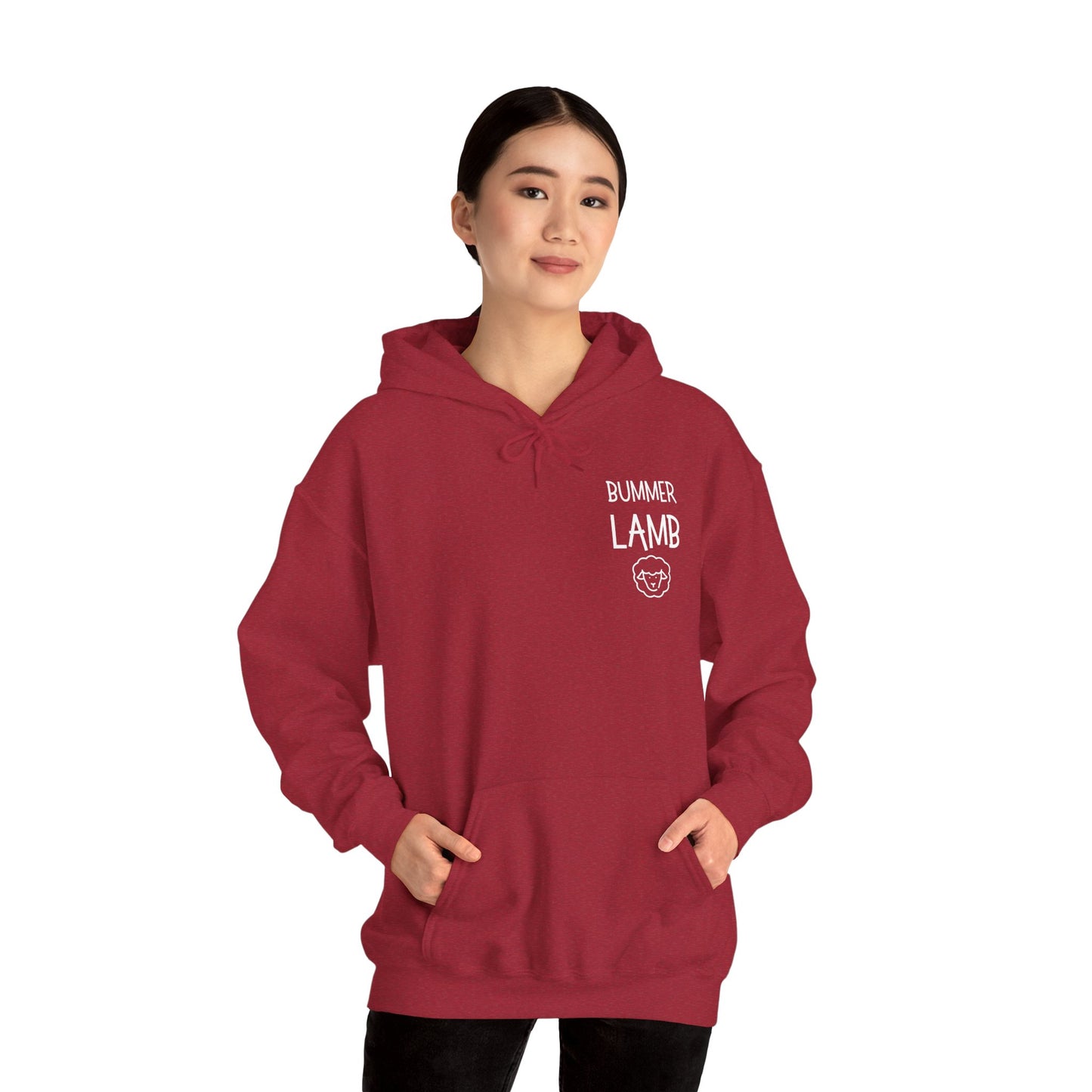 Bummer Lamb, Hoodie