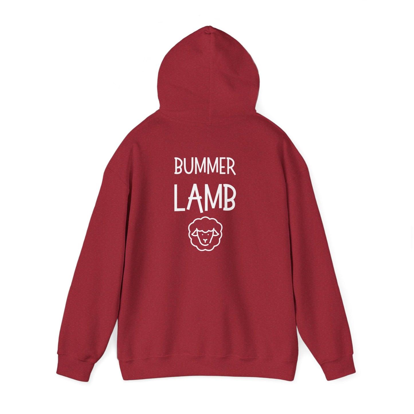 Bummer Lamb | Cozy Hoodie
