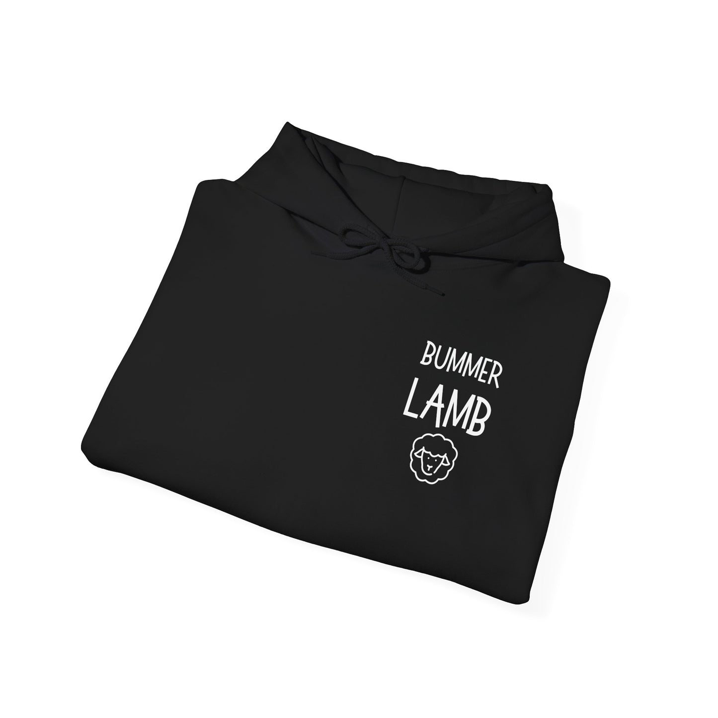 Bummer Lamb, Hoodie