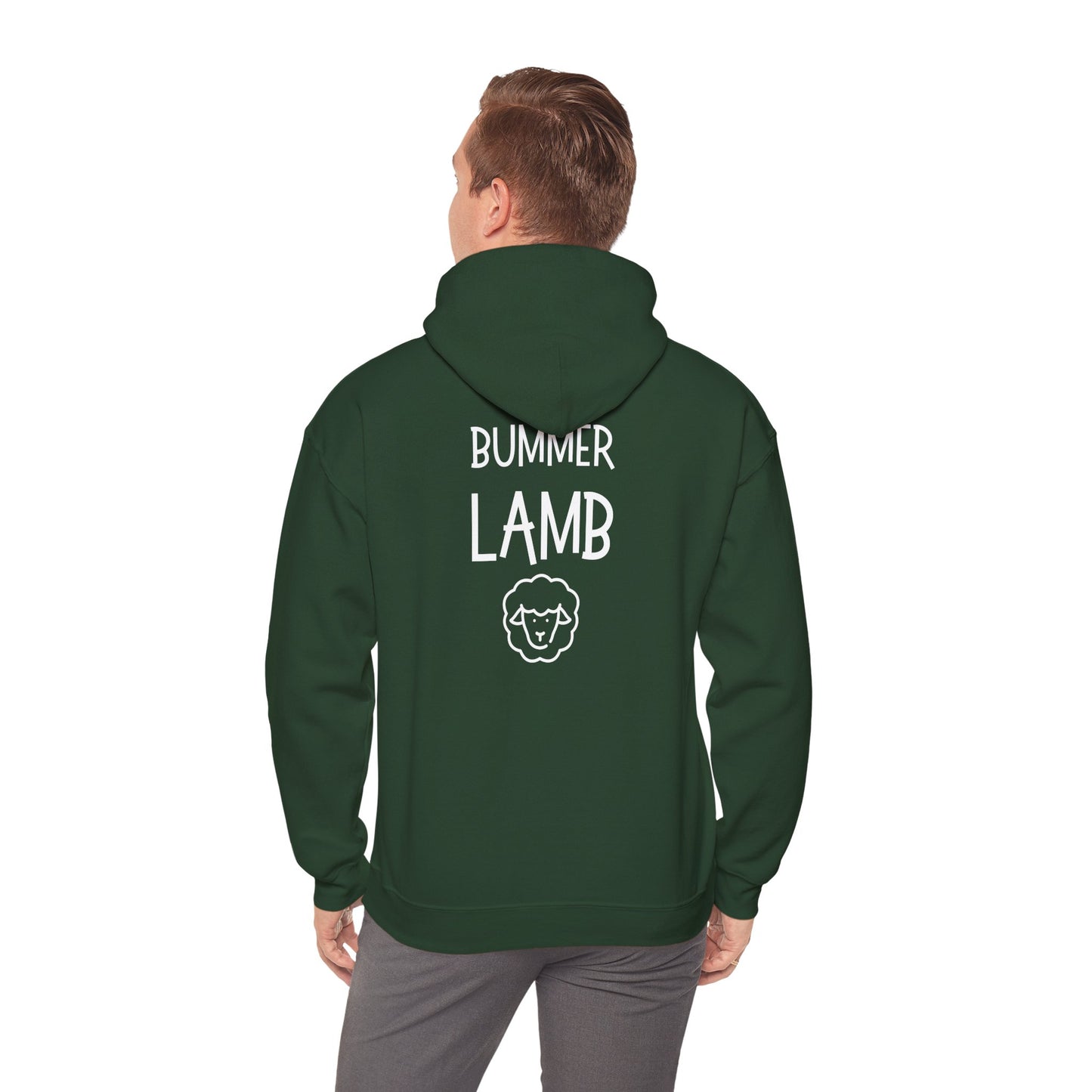 Bummer Lamb, Hoodie