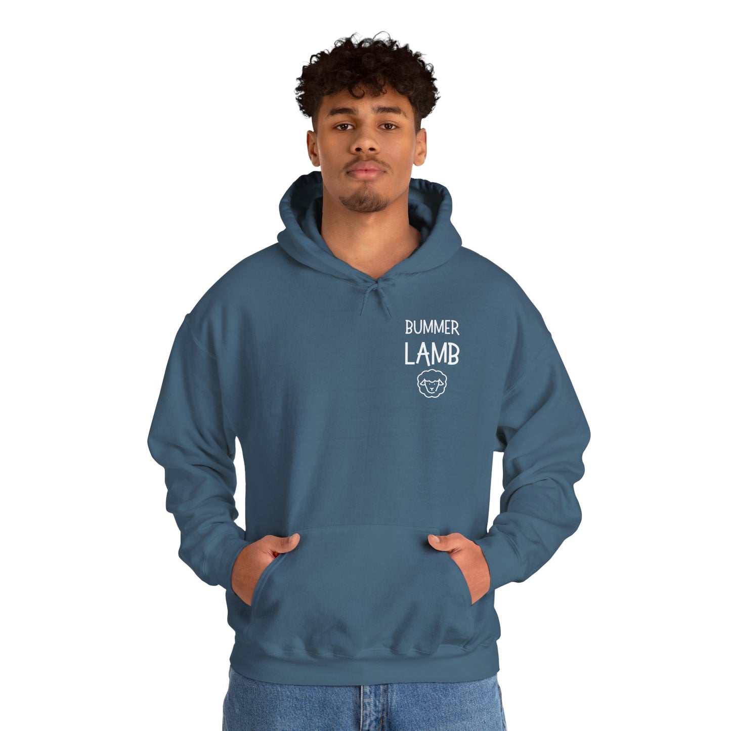 Bummer Lamb, Hoodie