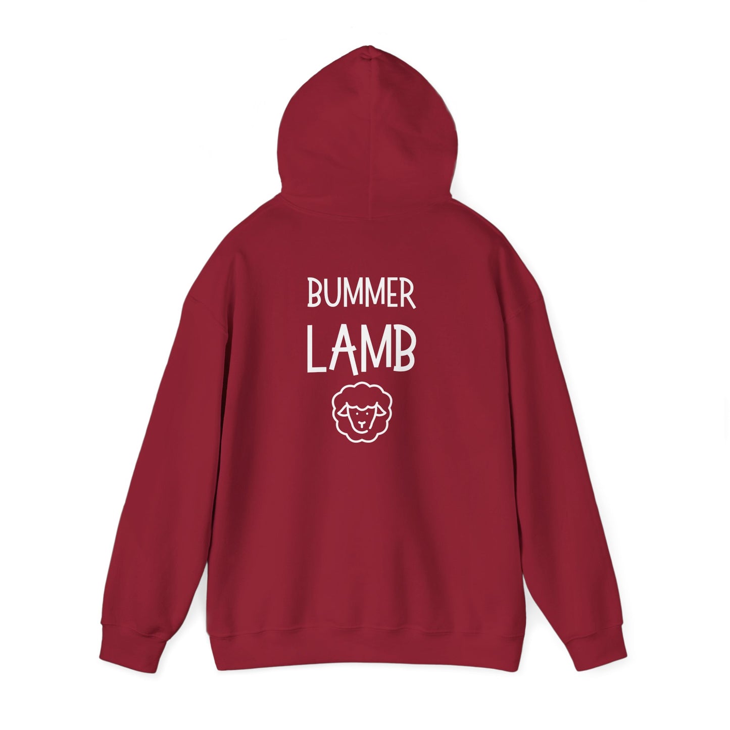 Bummer Lamb, Hoodie