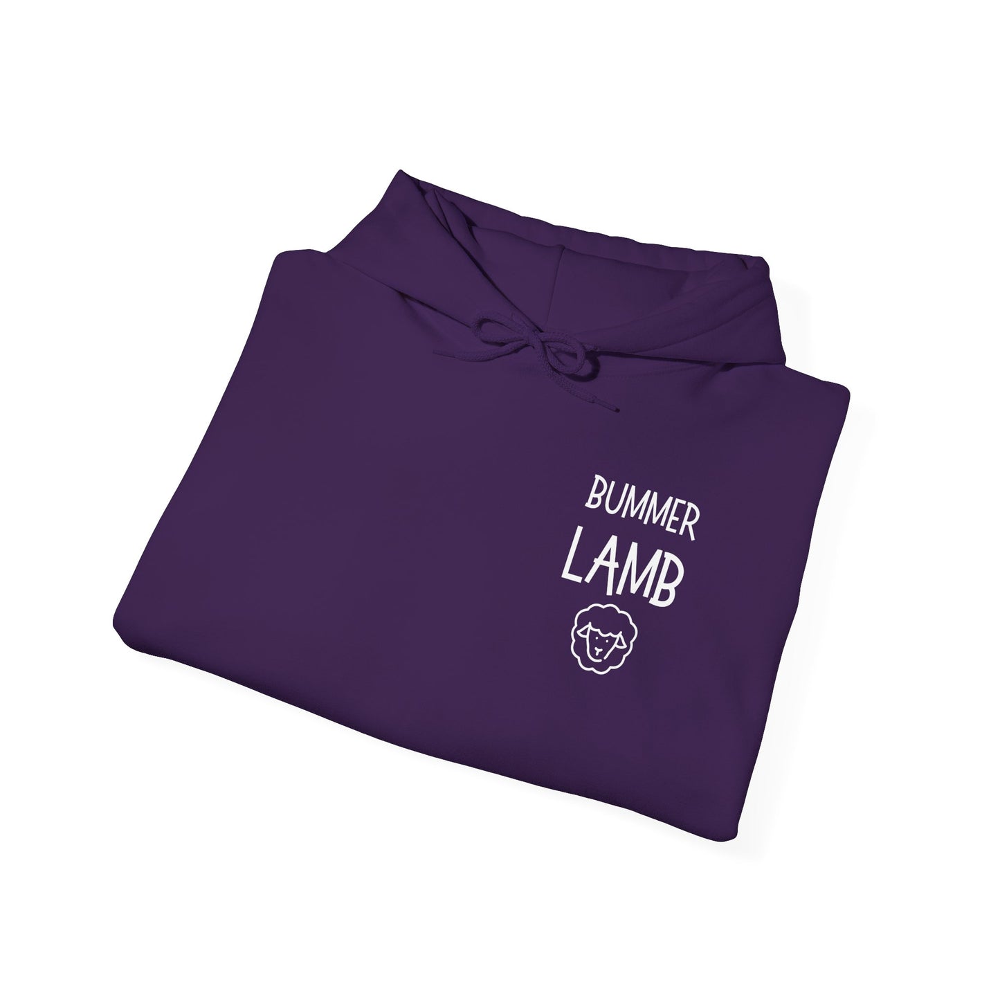 Bummer Lamb, Hoodie