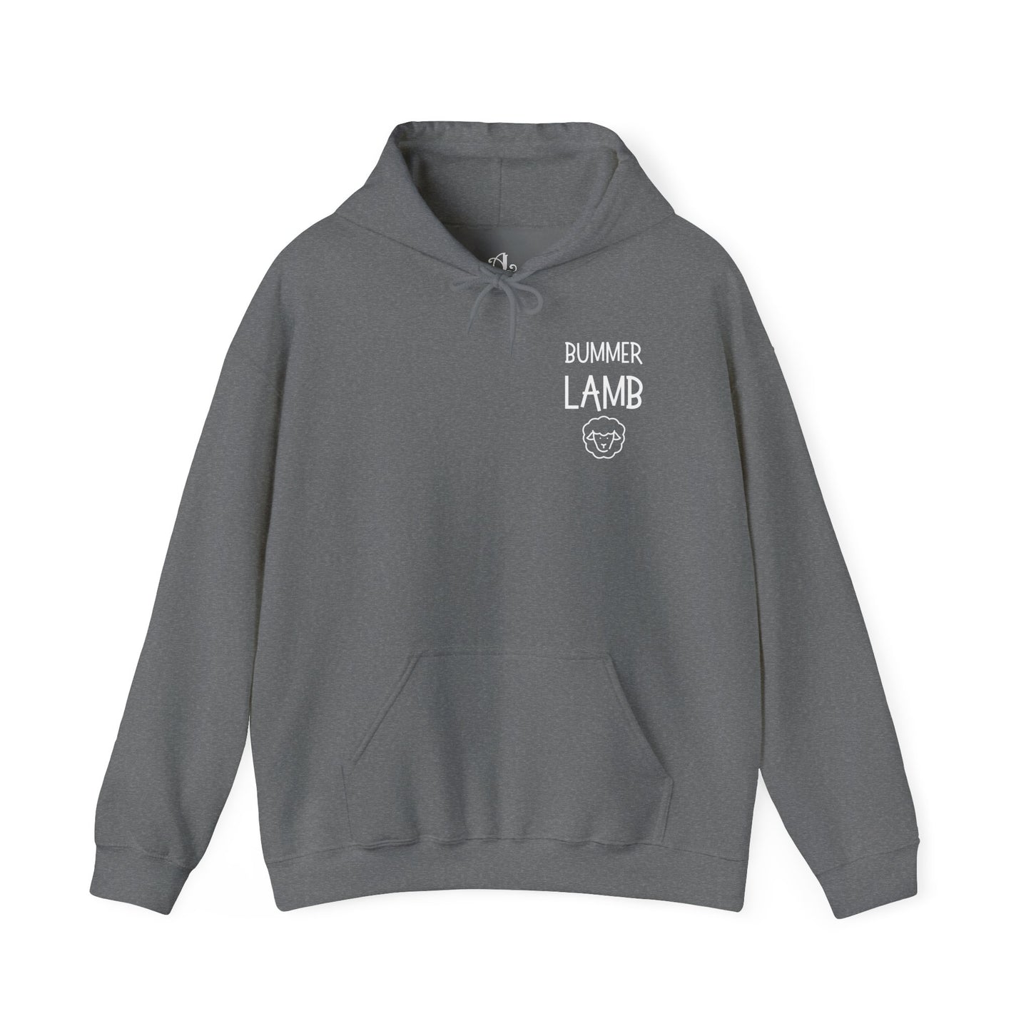 Bummer Lamb, Hoodie