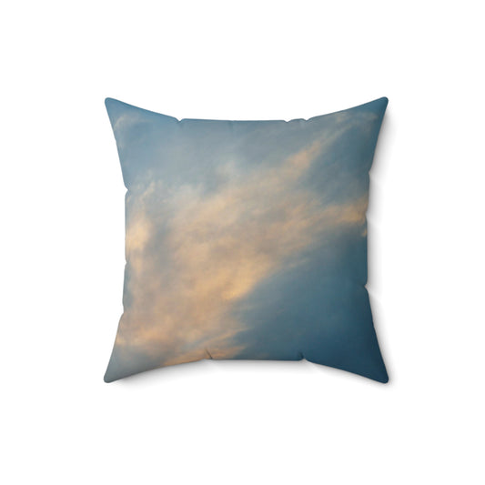 Sun Seeks, Pillow & Cover