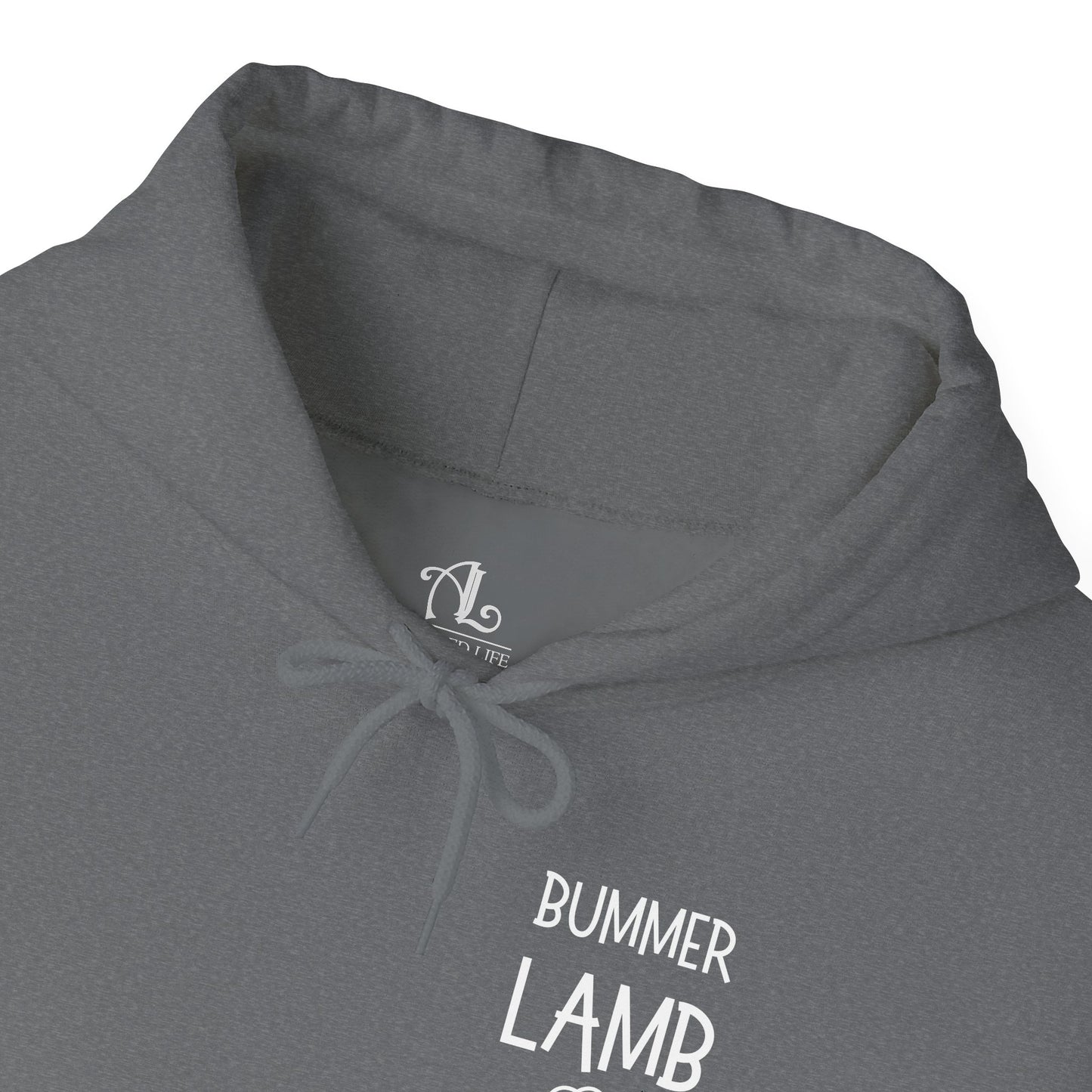 Bummer Lamb, Hoodie