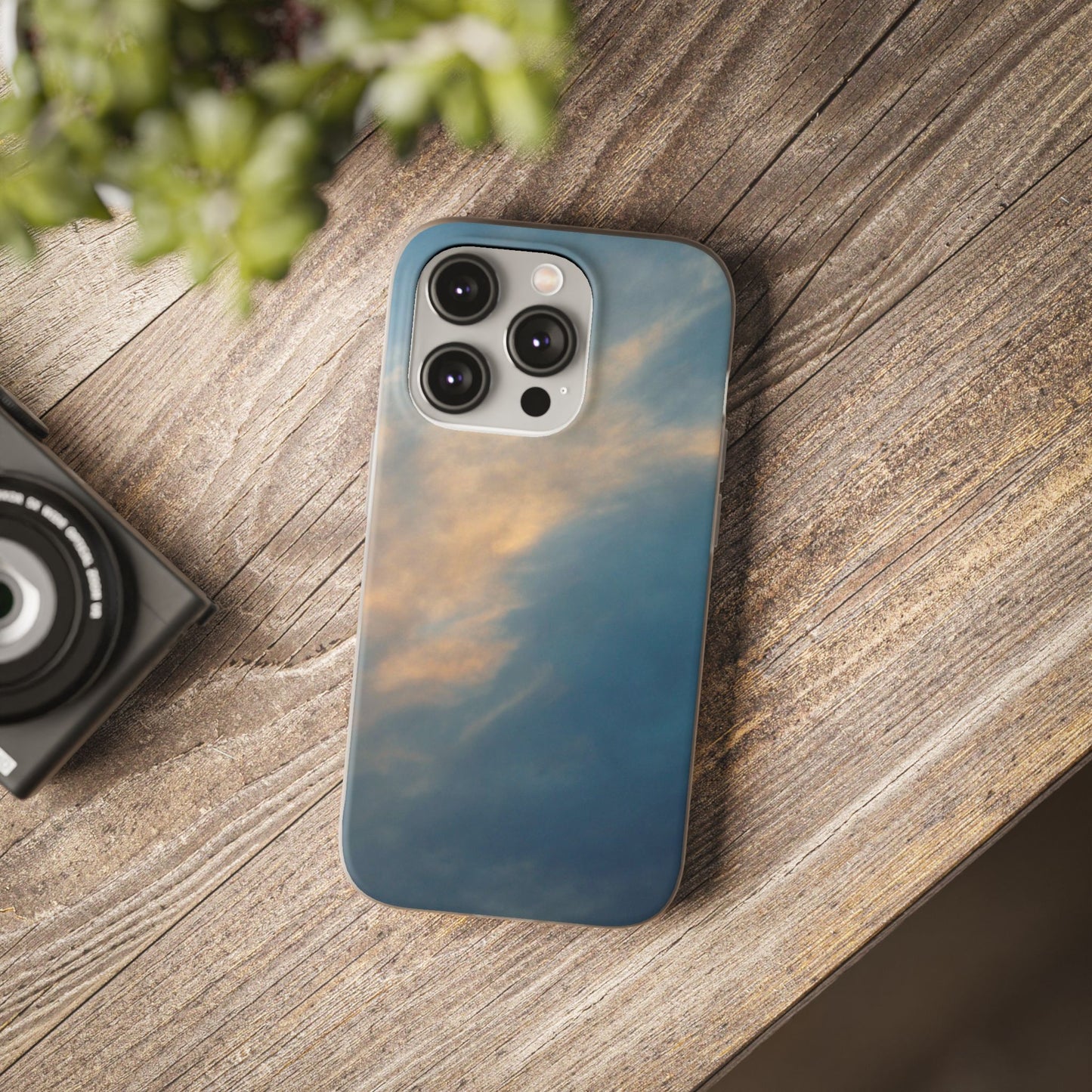 Sun Seeks | iPhone and Samsung Phone Case