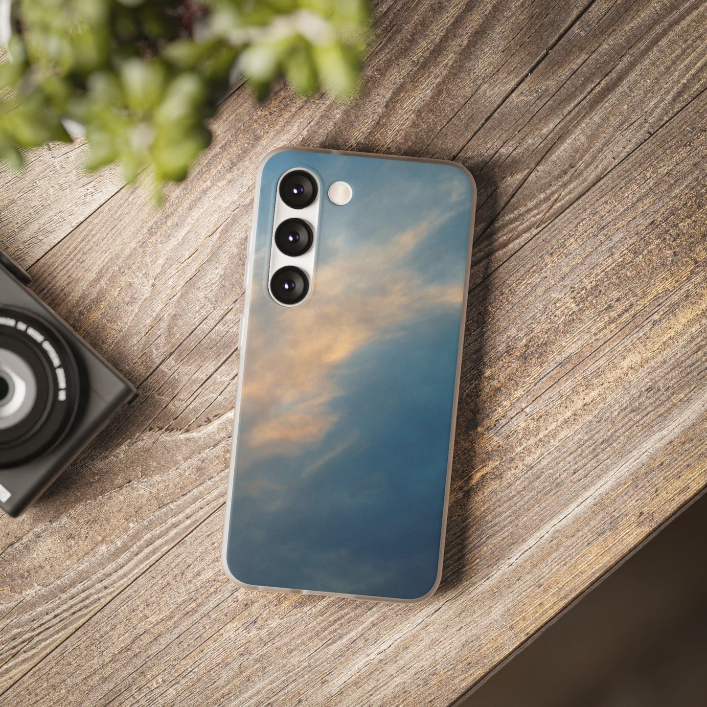 Sun Seeks | iPhone and Samsung Phone Case