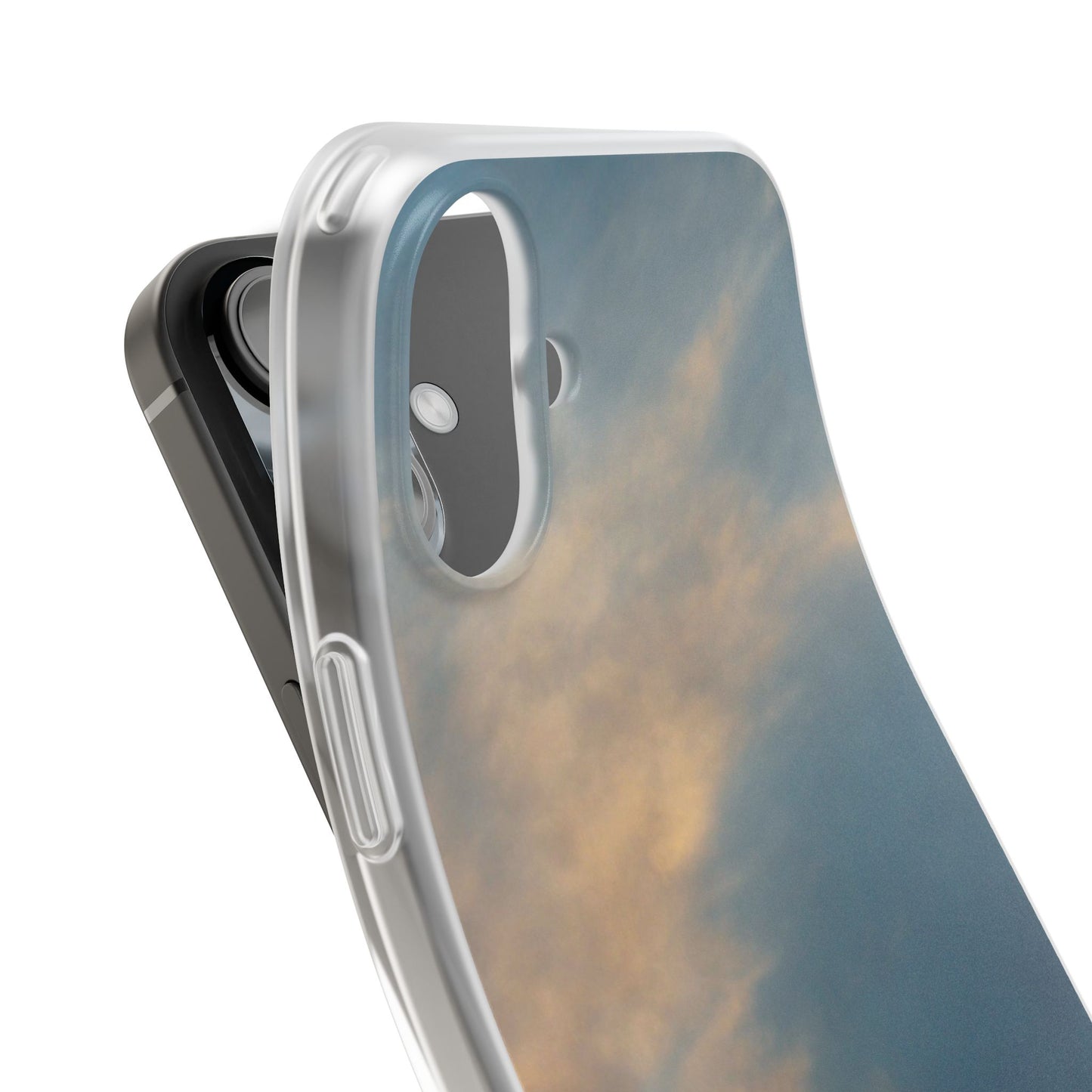 Sun Seeks | iPhone and Samsung Phone Case