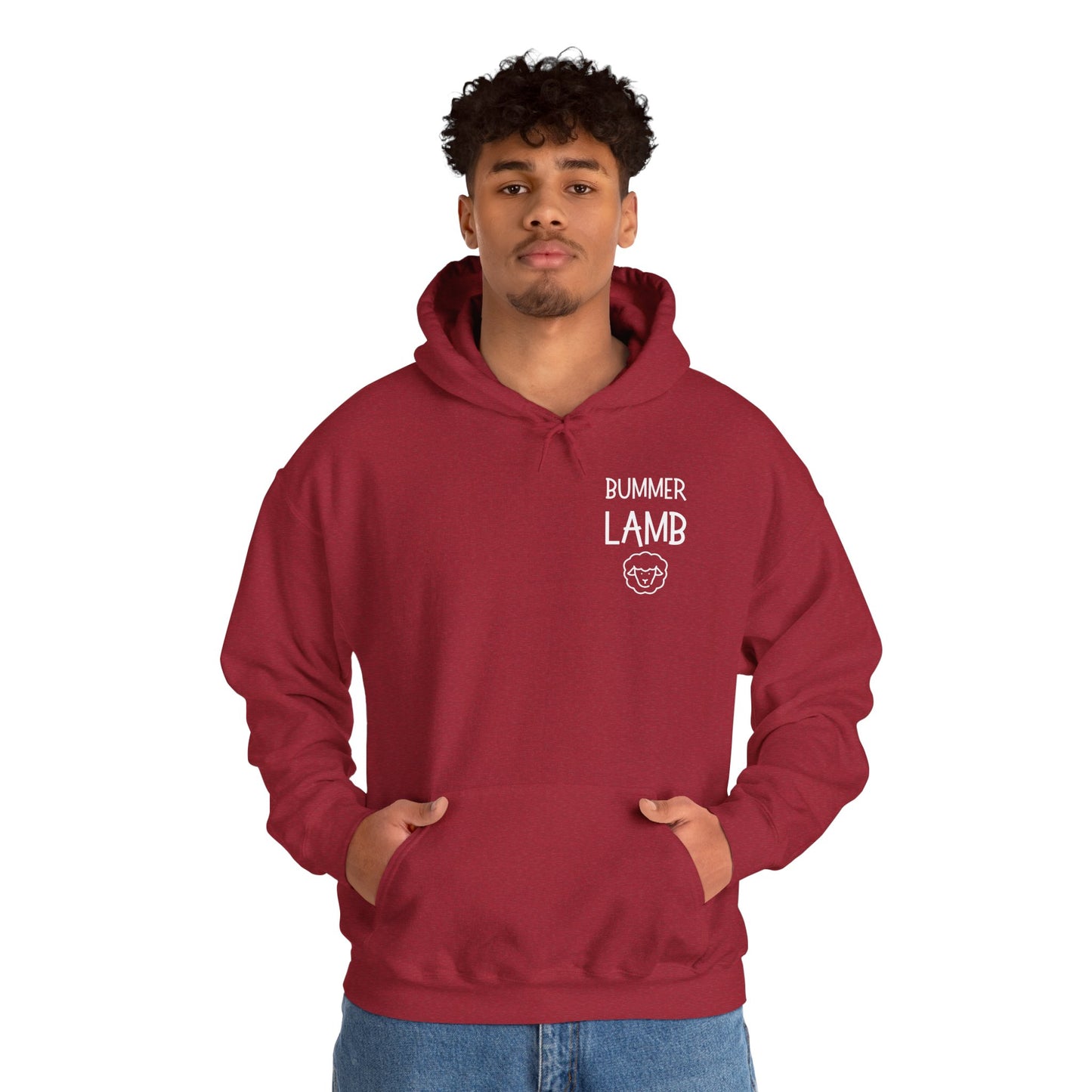 Bummer Lamb, Hoodie