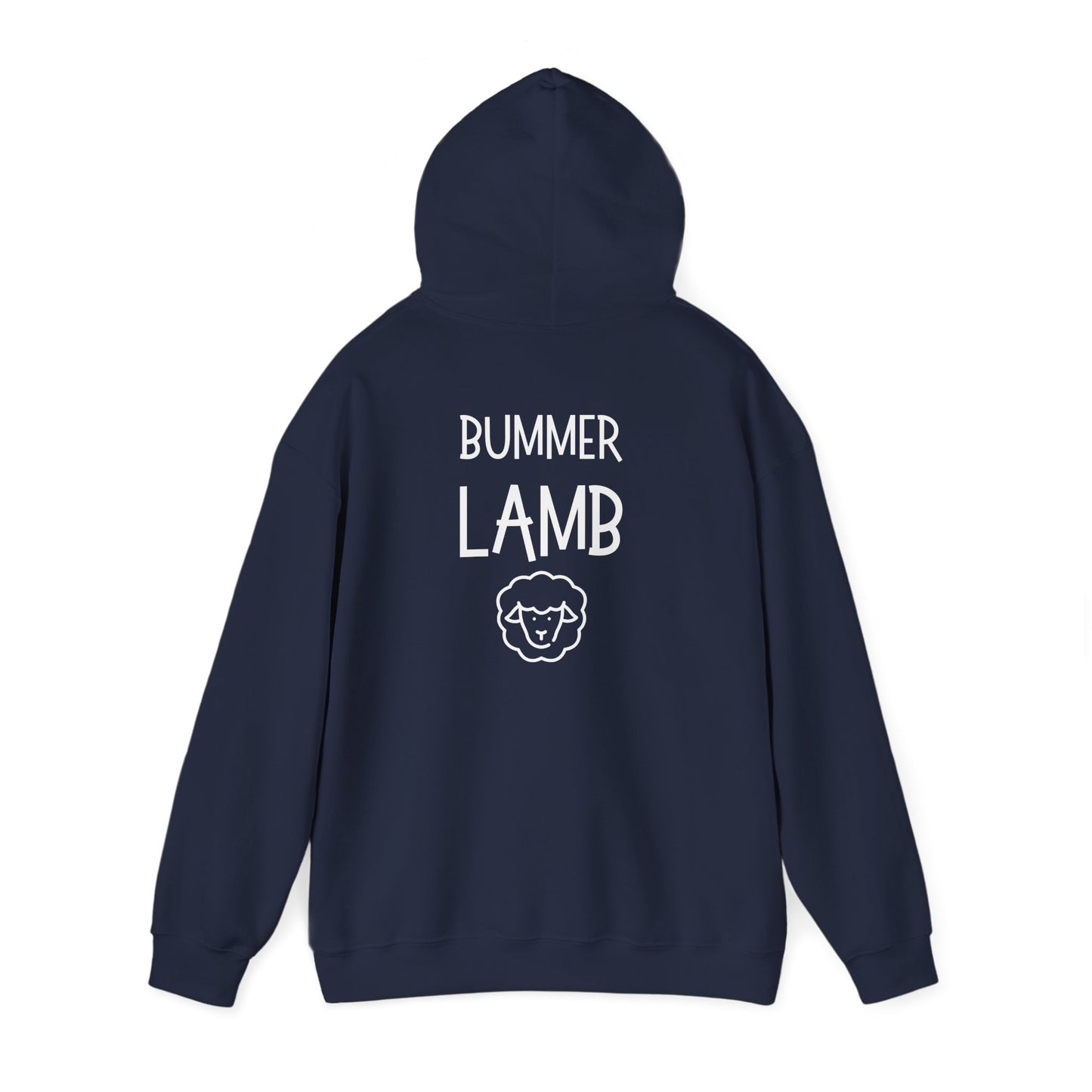 Bummer Lamb, Hoodie