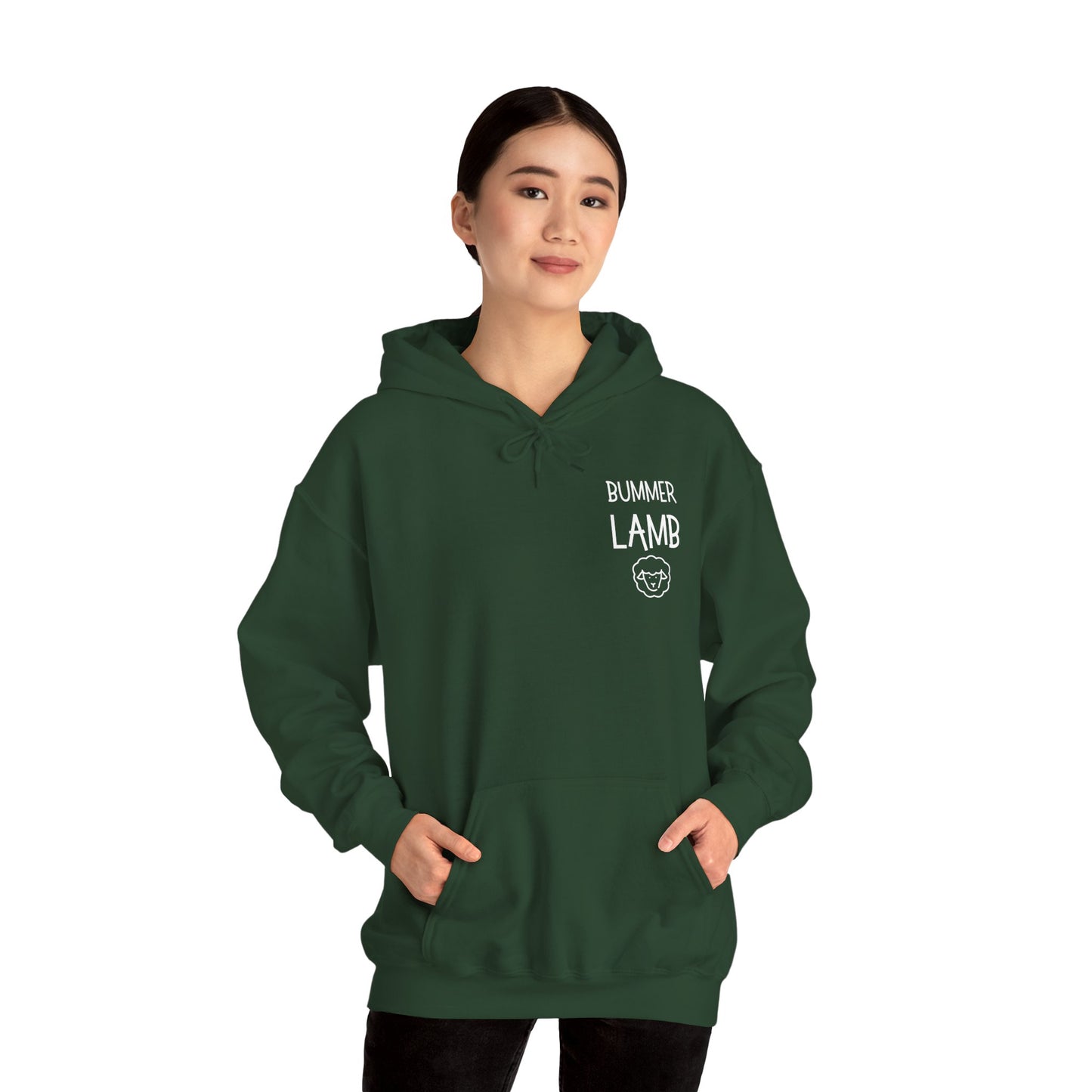 Bummer Lamb, Hoodie