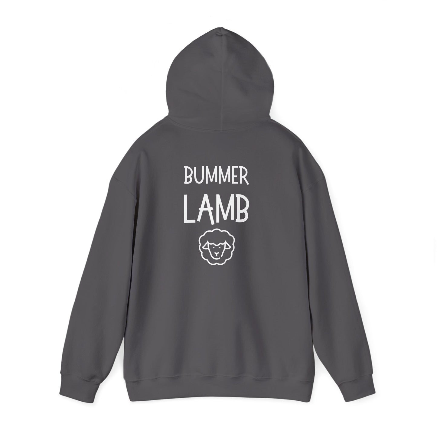 Bummer Lamb | Cozy Hoodie