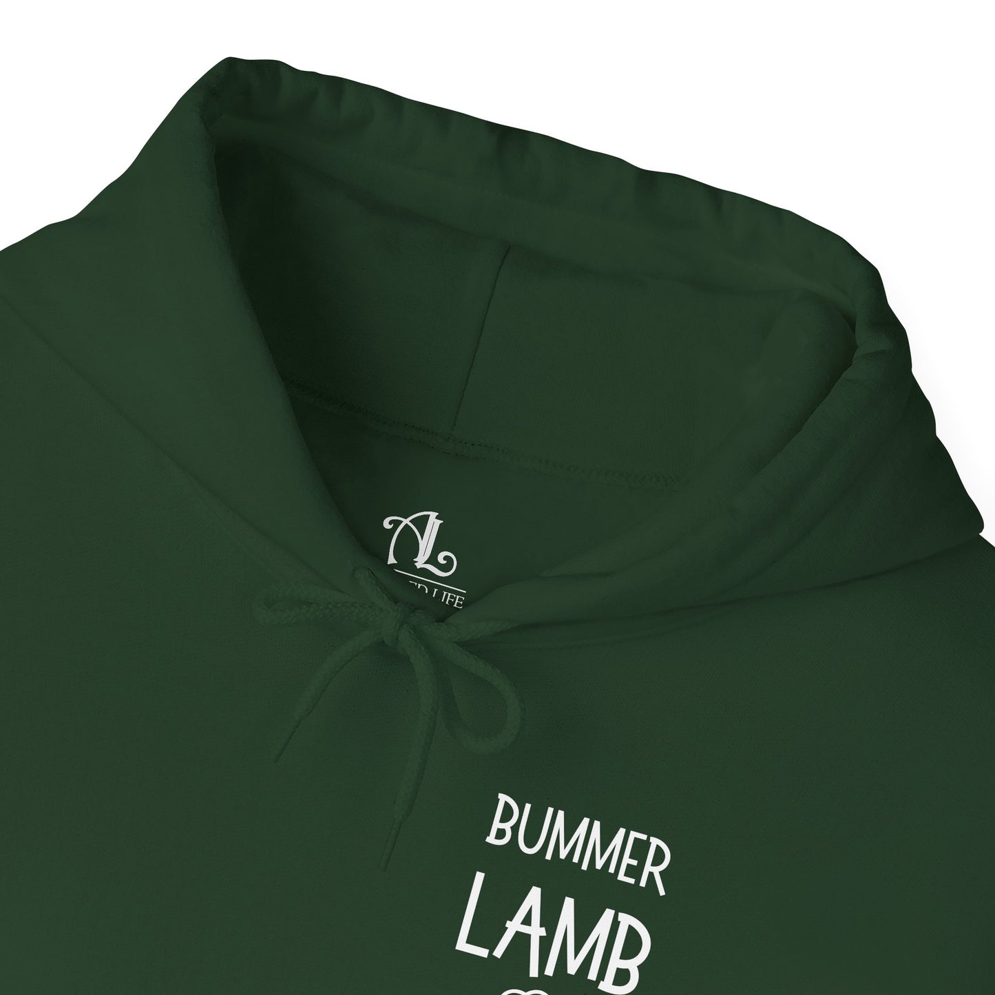 Bummer Lamb, Hoodie