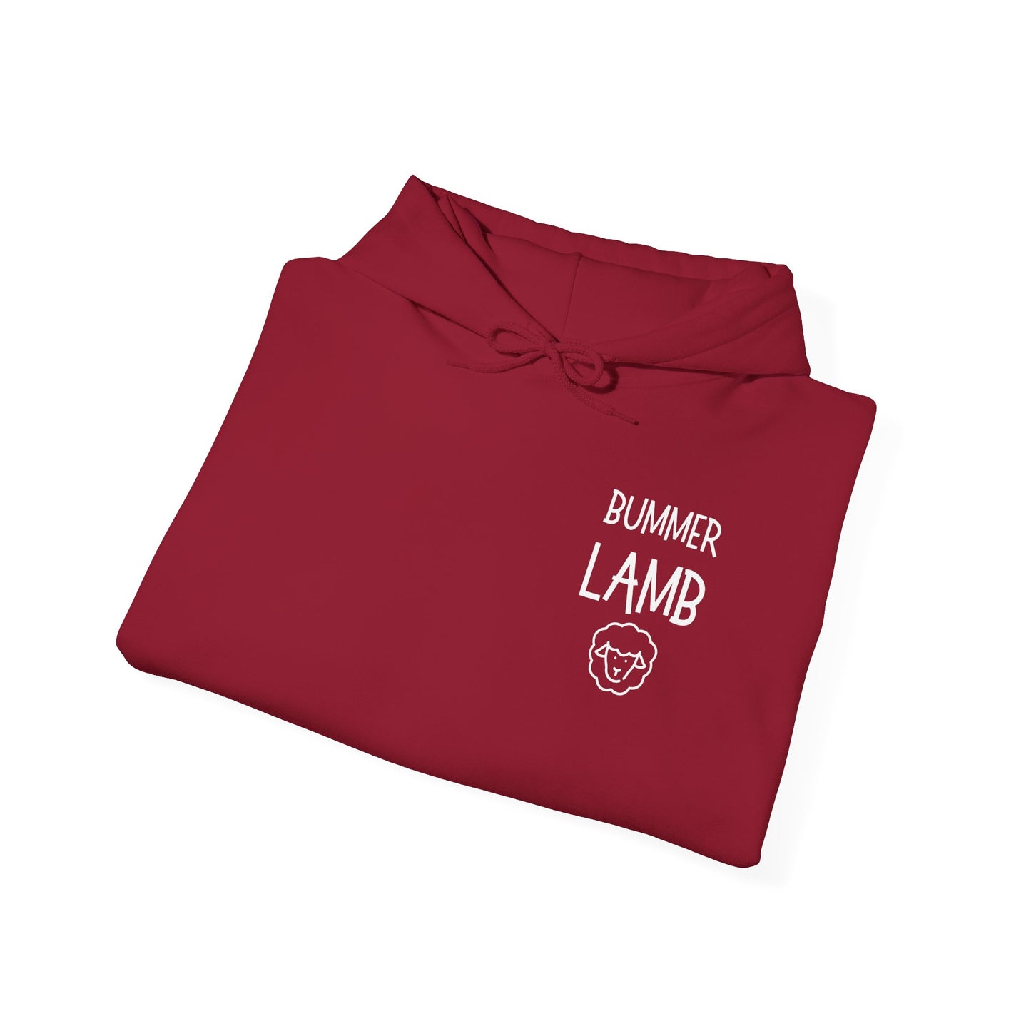 Bummer Lamb, Hoodie