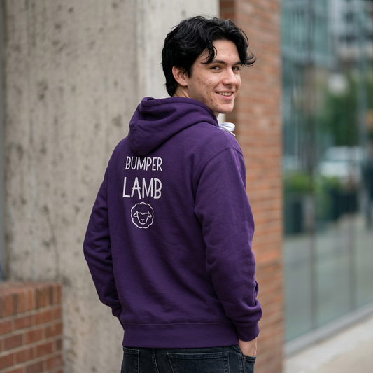 Bummer Lamb, Hoodie