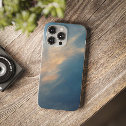 Sun Seeks | iPhone and Samsung Phone Case