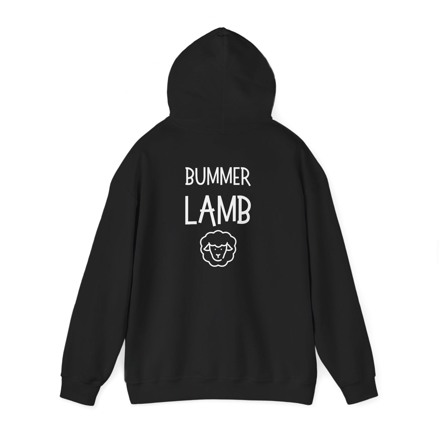 Bummer Lamb, Hoodie