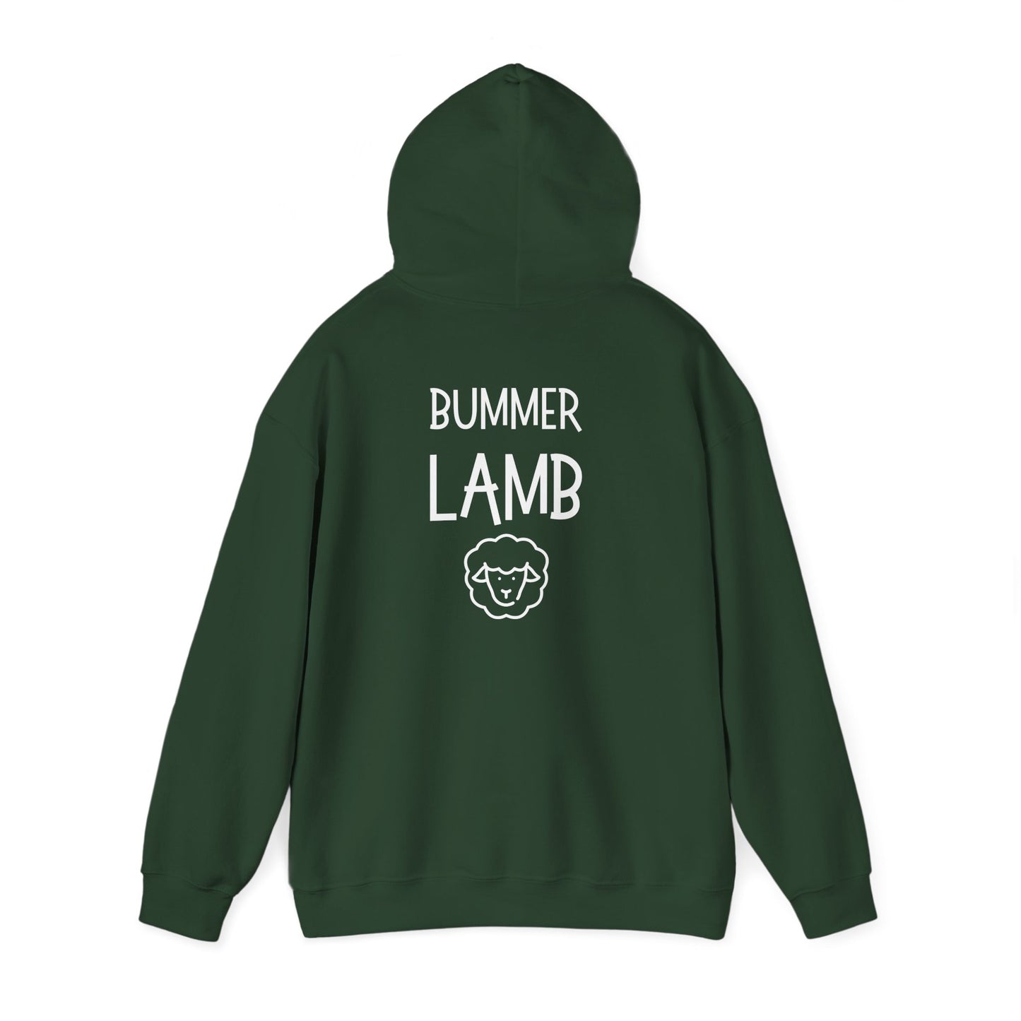 Bummer Lamb | Cozy Hoodie