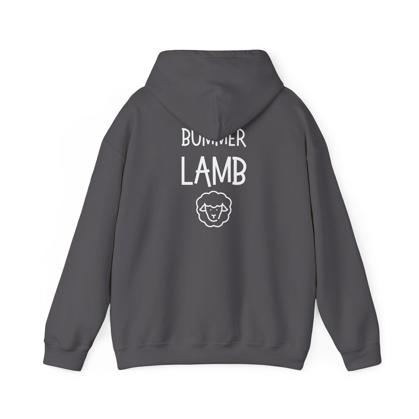 Bummer Lamb, Hoodie