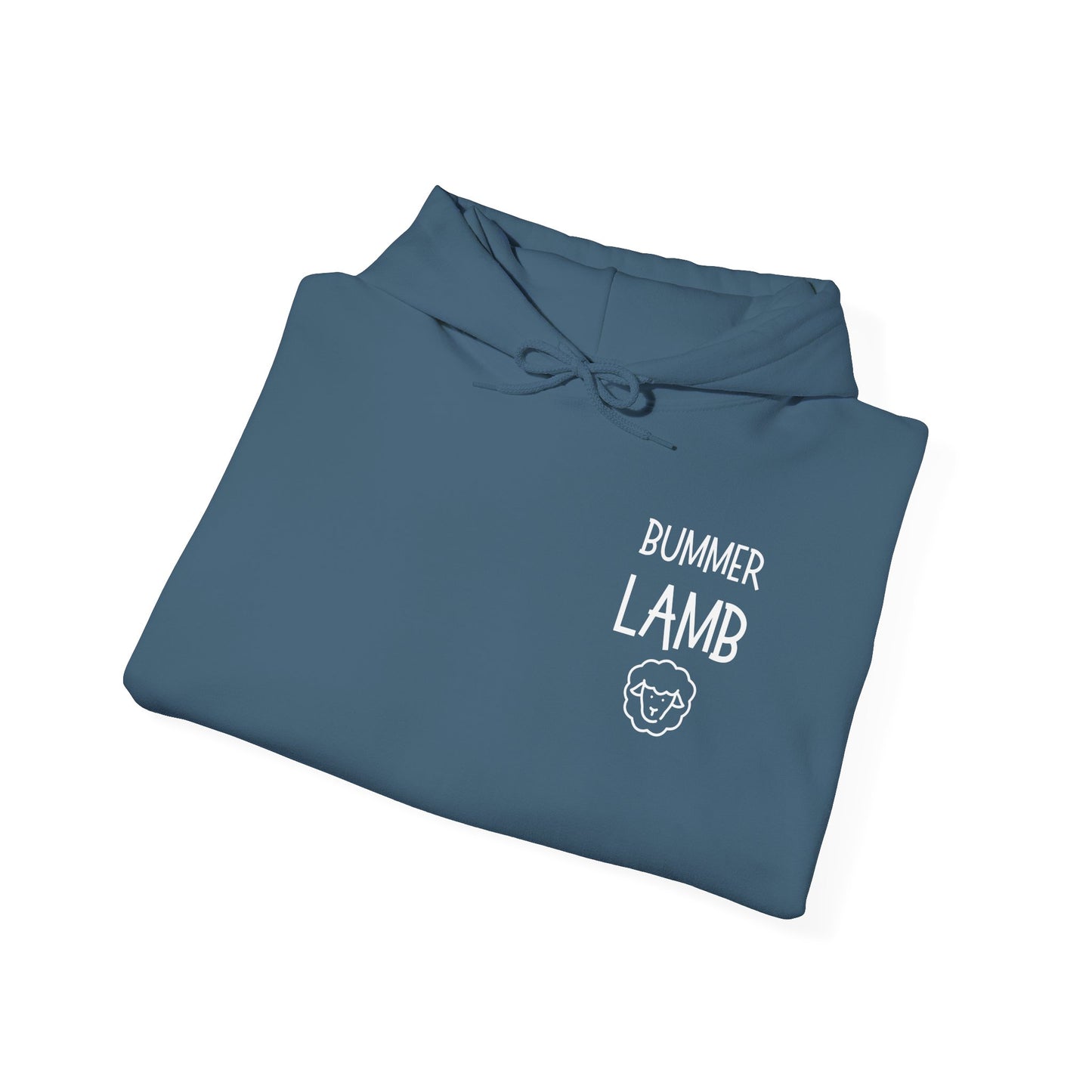 Bummer Lamb, Hoodie