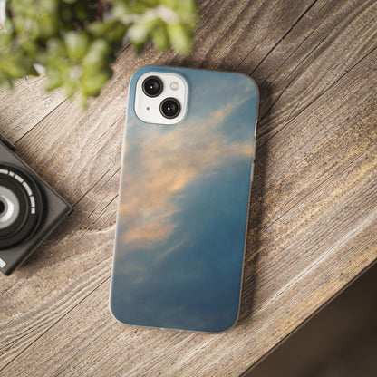Sun Seeks | iPhone and Samsung Phone Case
