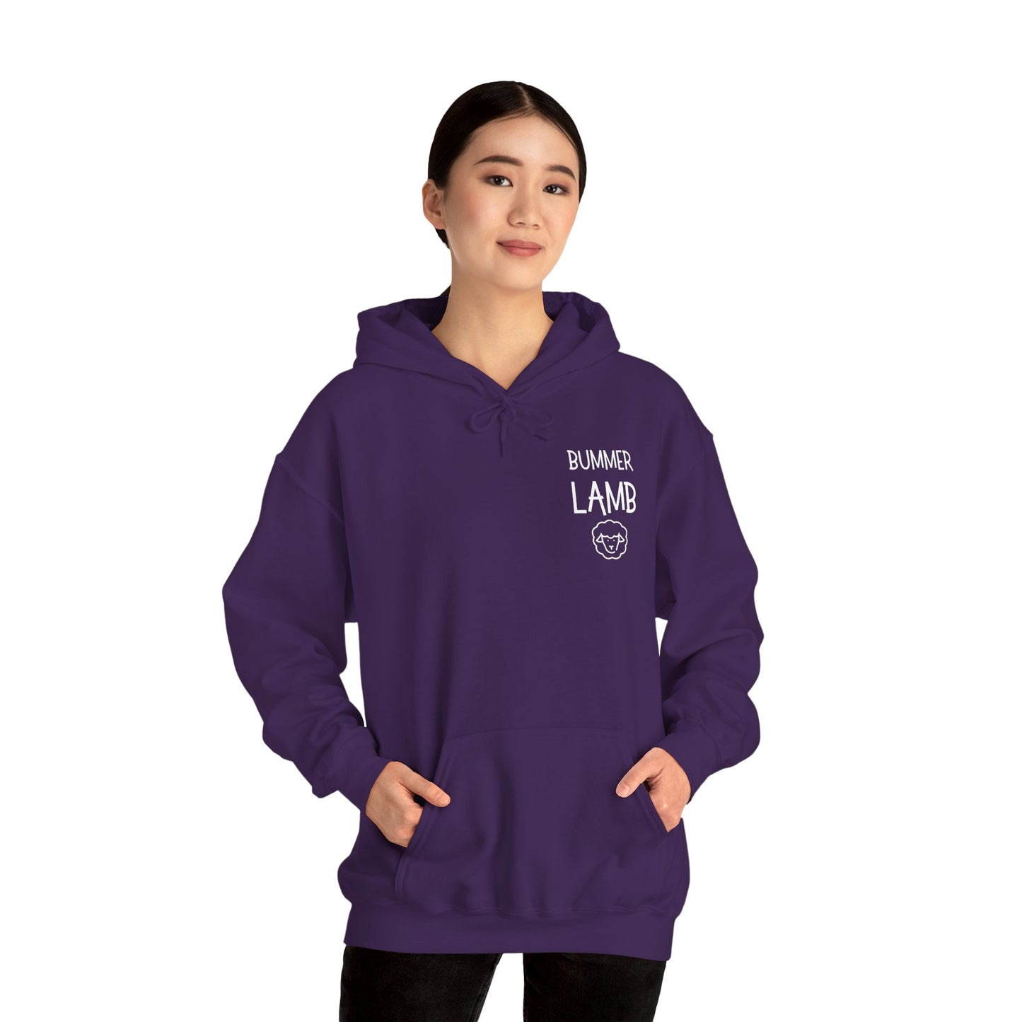 Bummer Lamb, Hoodie