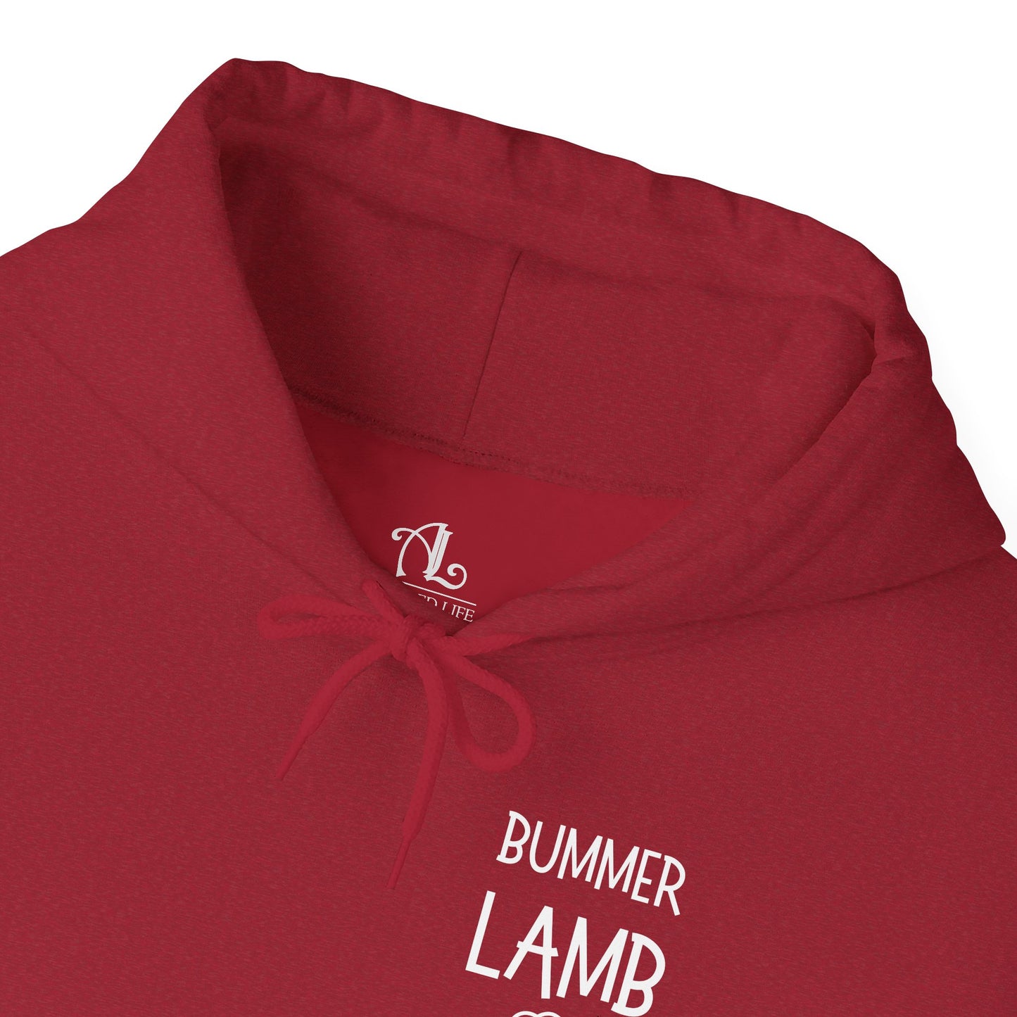 Bummer Lamb, Hoodie