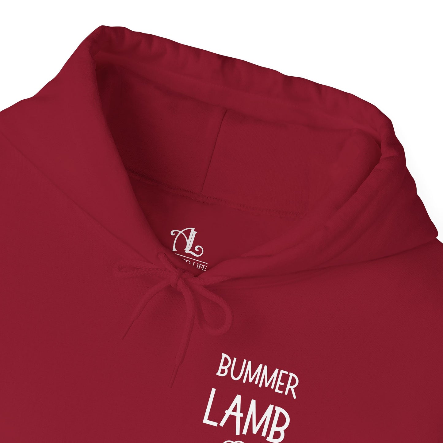 Bummer Lamb, Hoodie