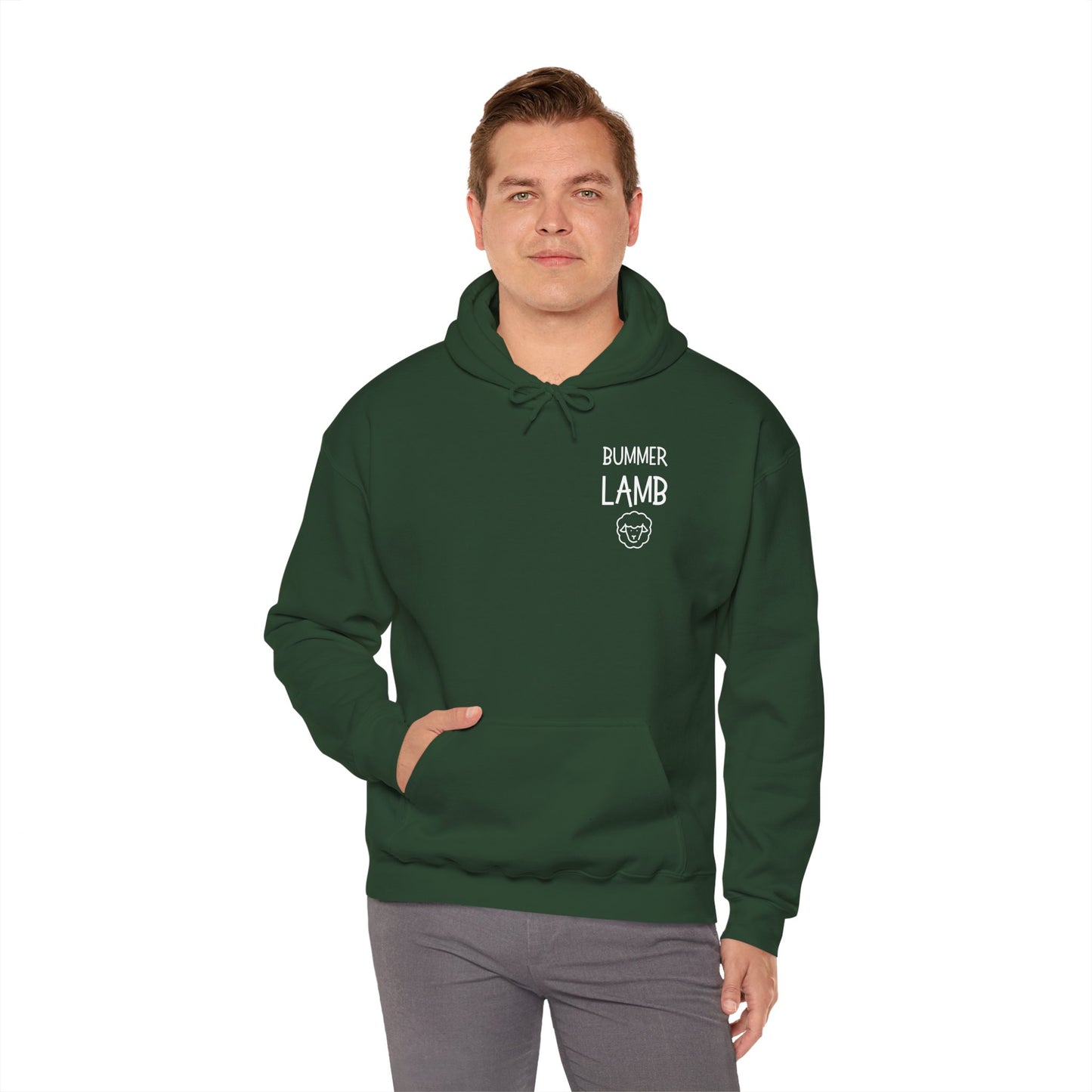 Bummer Lamb, Hoodie