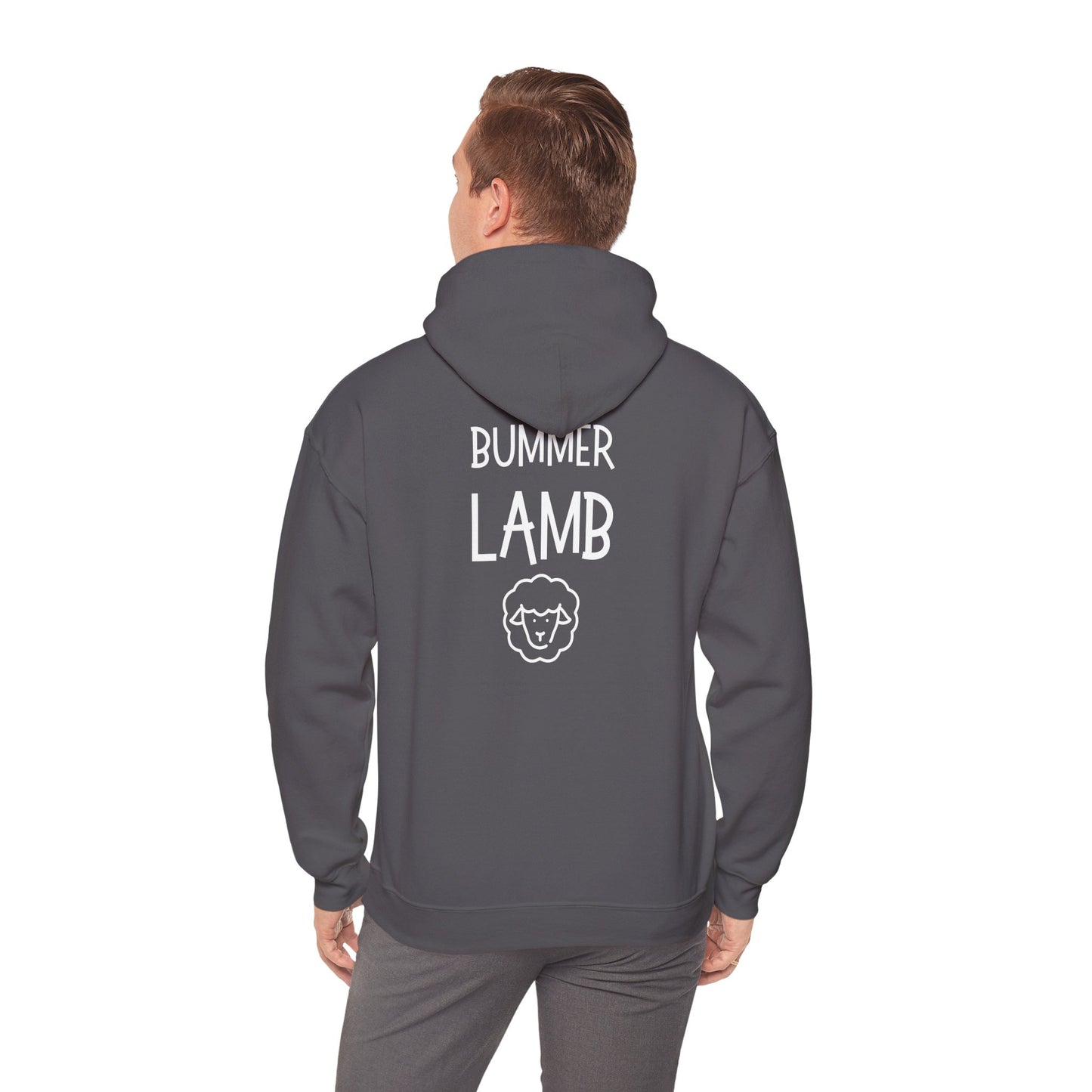 Bummer Lamb, Hoodie