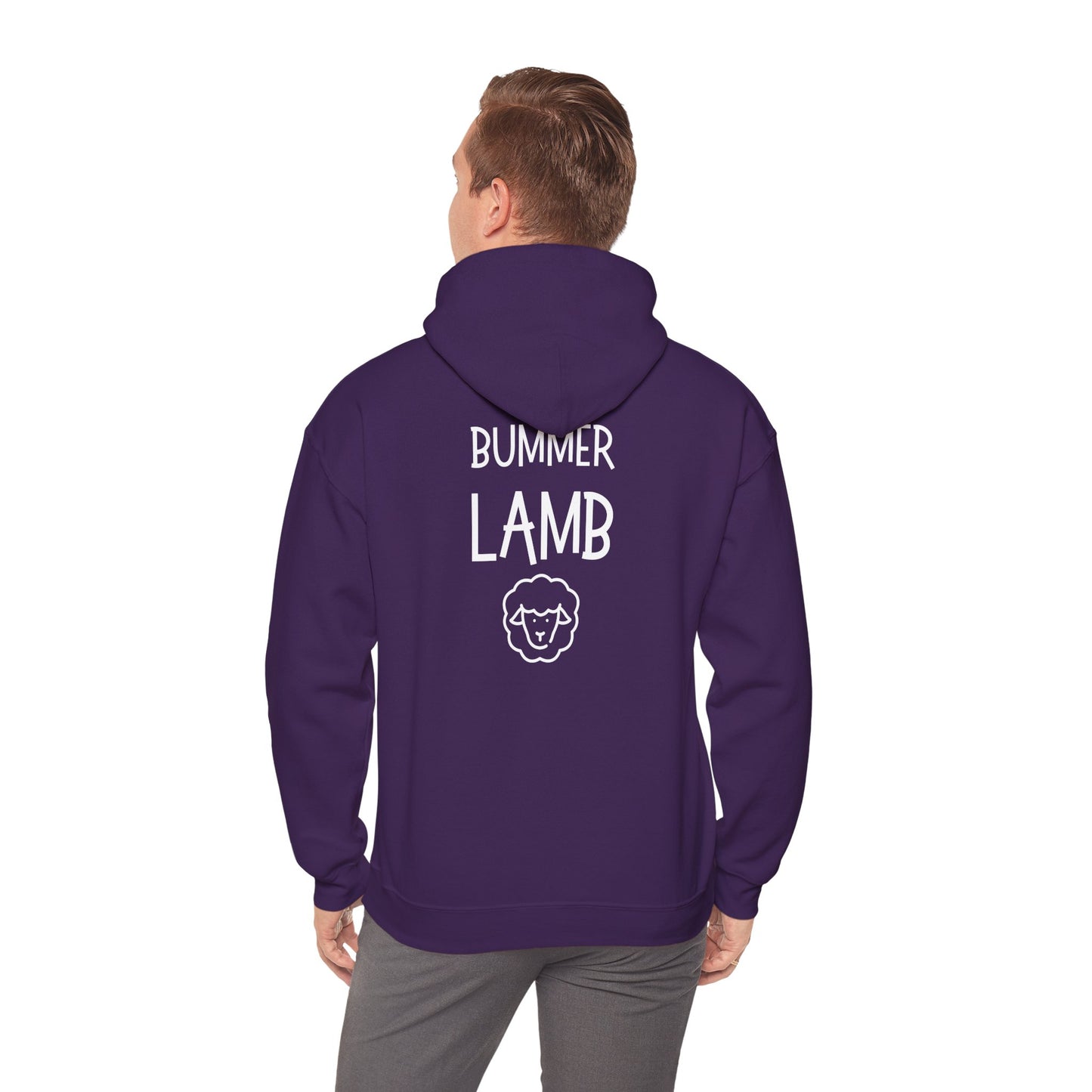 Bummer Lamb, Hoodie