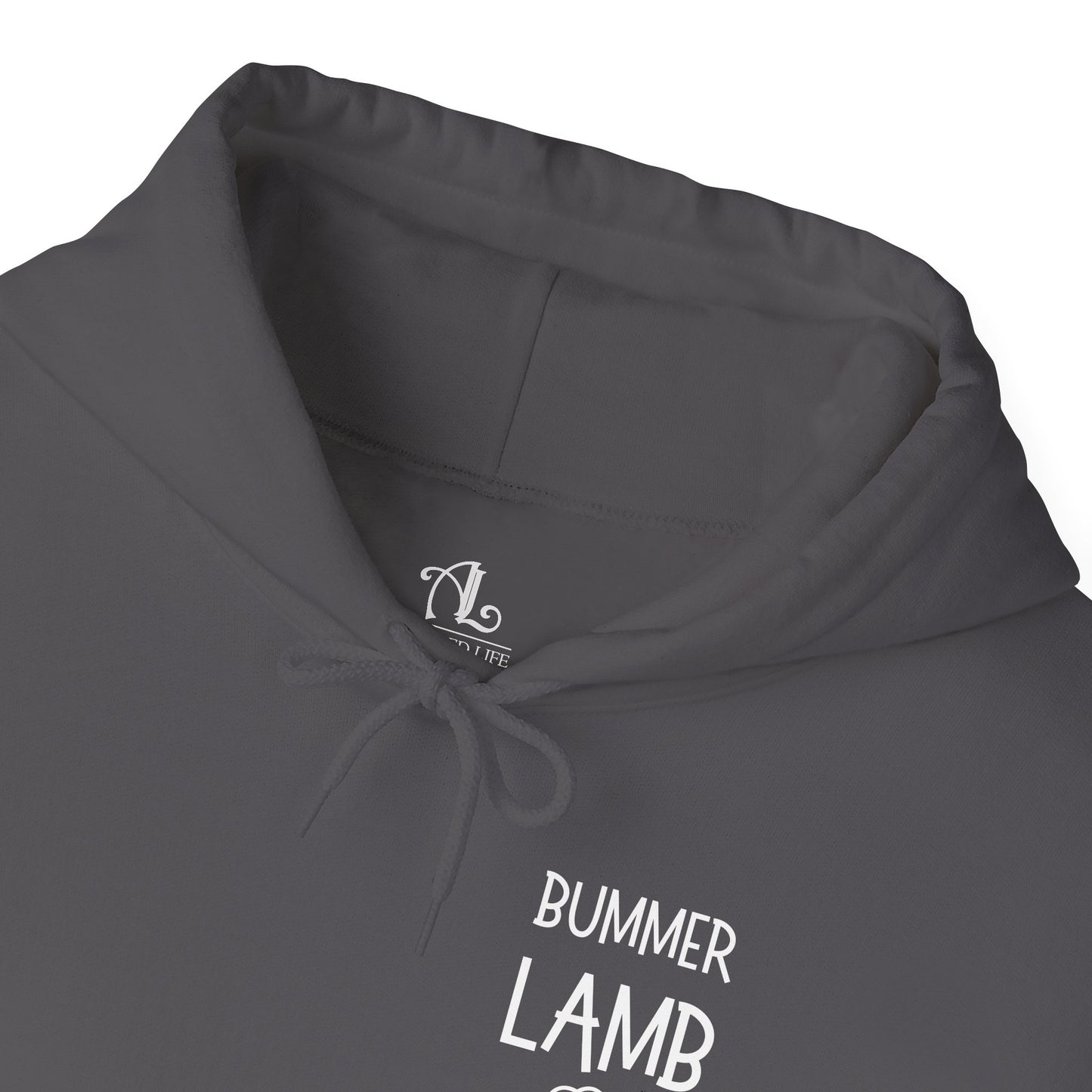 Bummer Lamb, Hoodie
